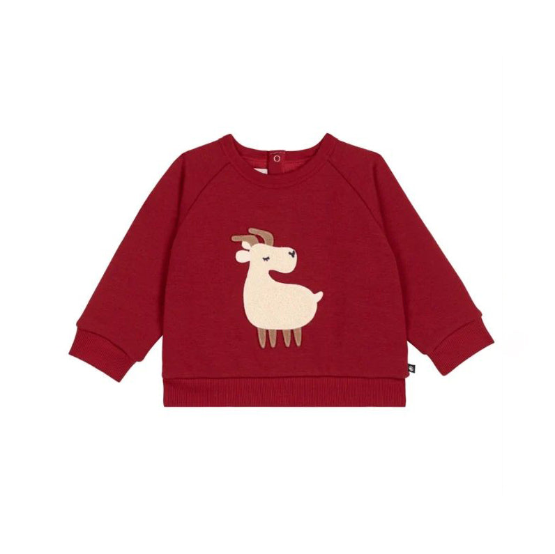 Baby Boys Red Printed Cotton Sweatshirt