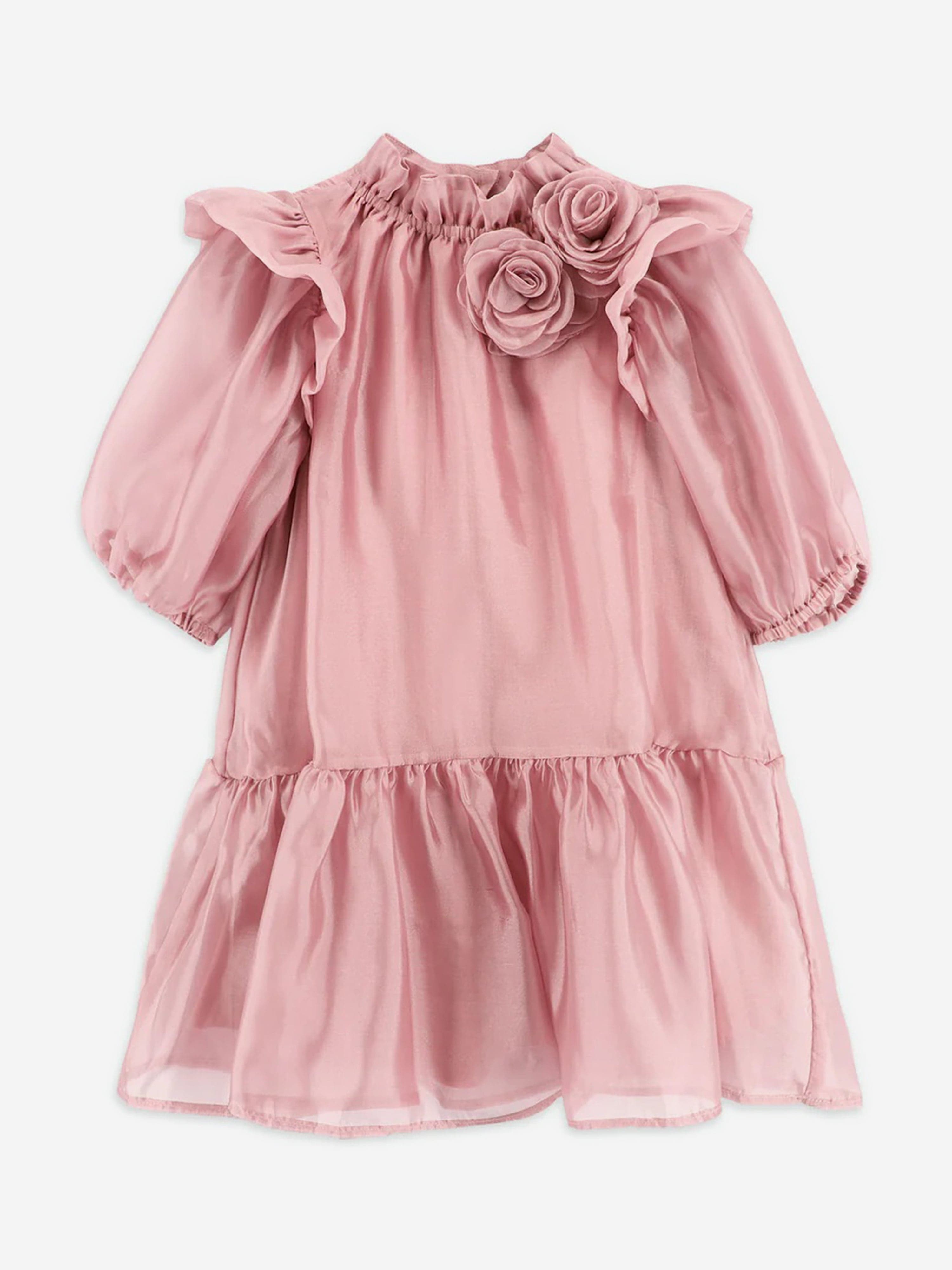 Girls Lark Rose Trim Dress in Pink
