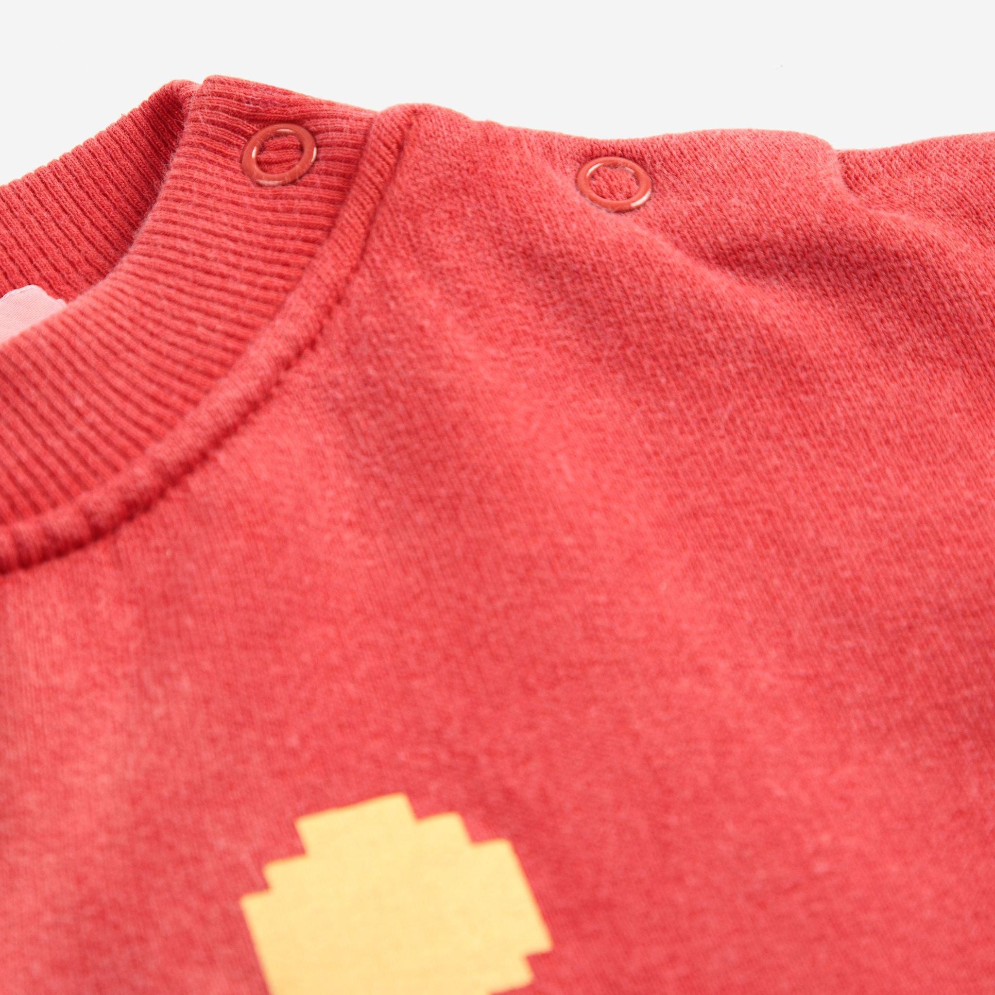 Baby Boys & Girls Red Printed Cotton Sweatshirt