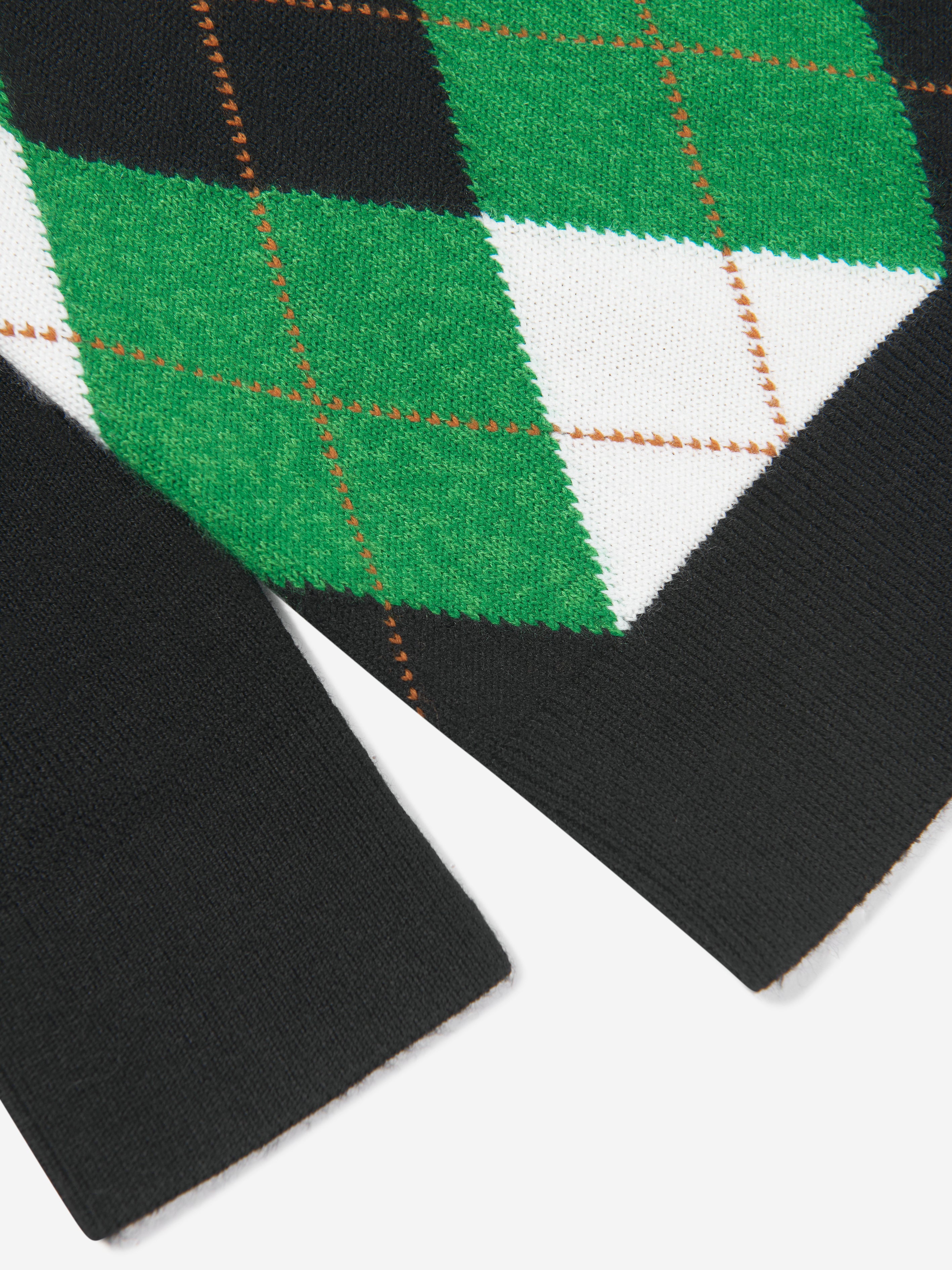 Boys Argyle Bear Sweatshirt in Green