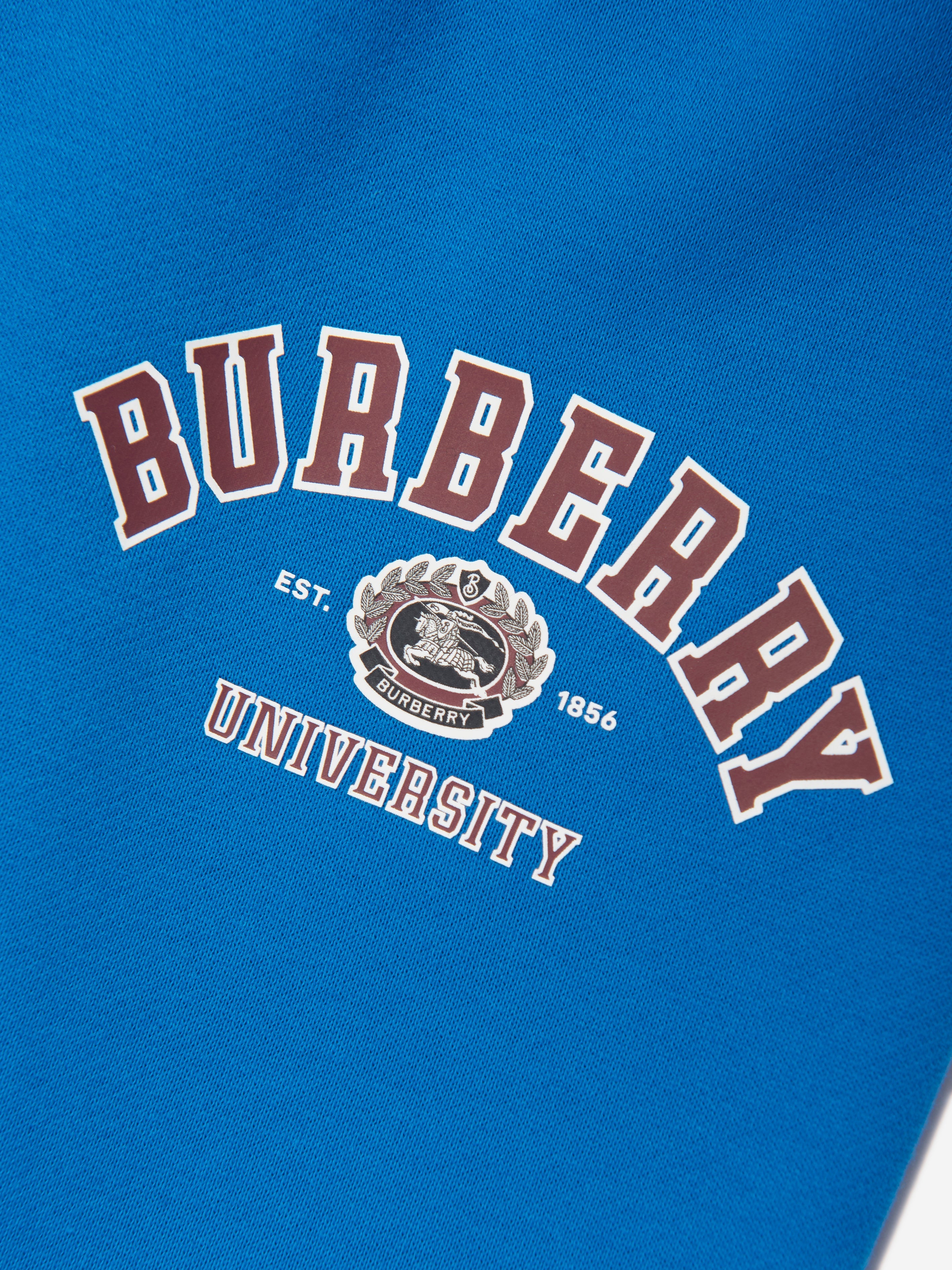 Boys Sidney College Joggers in Blue