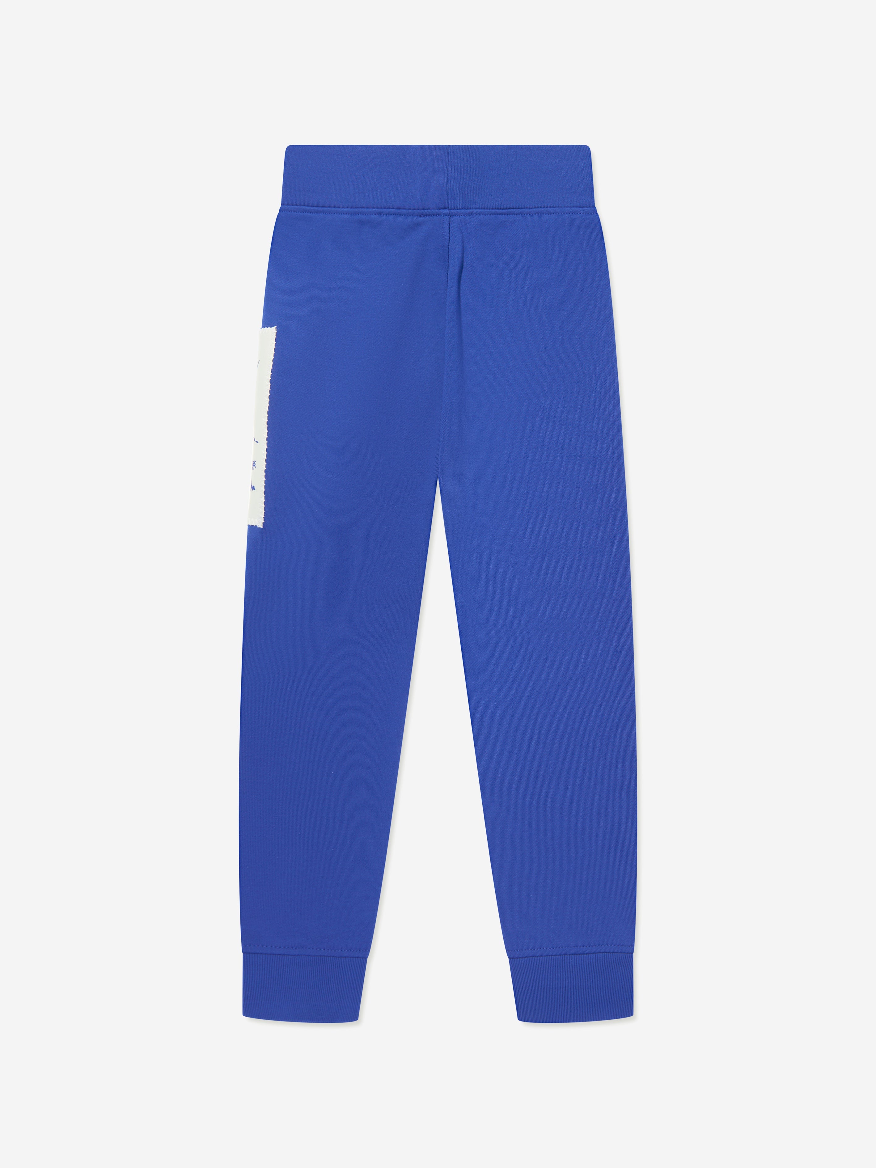 Boys EKD Label Sidney Joggers in Blue