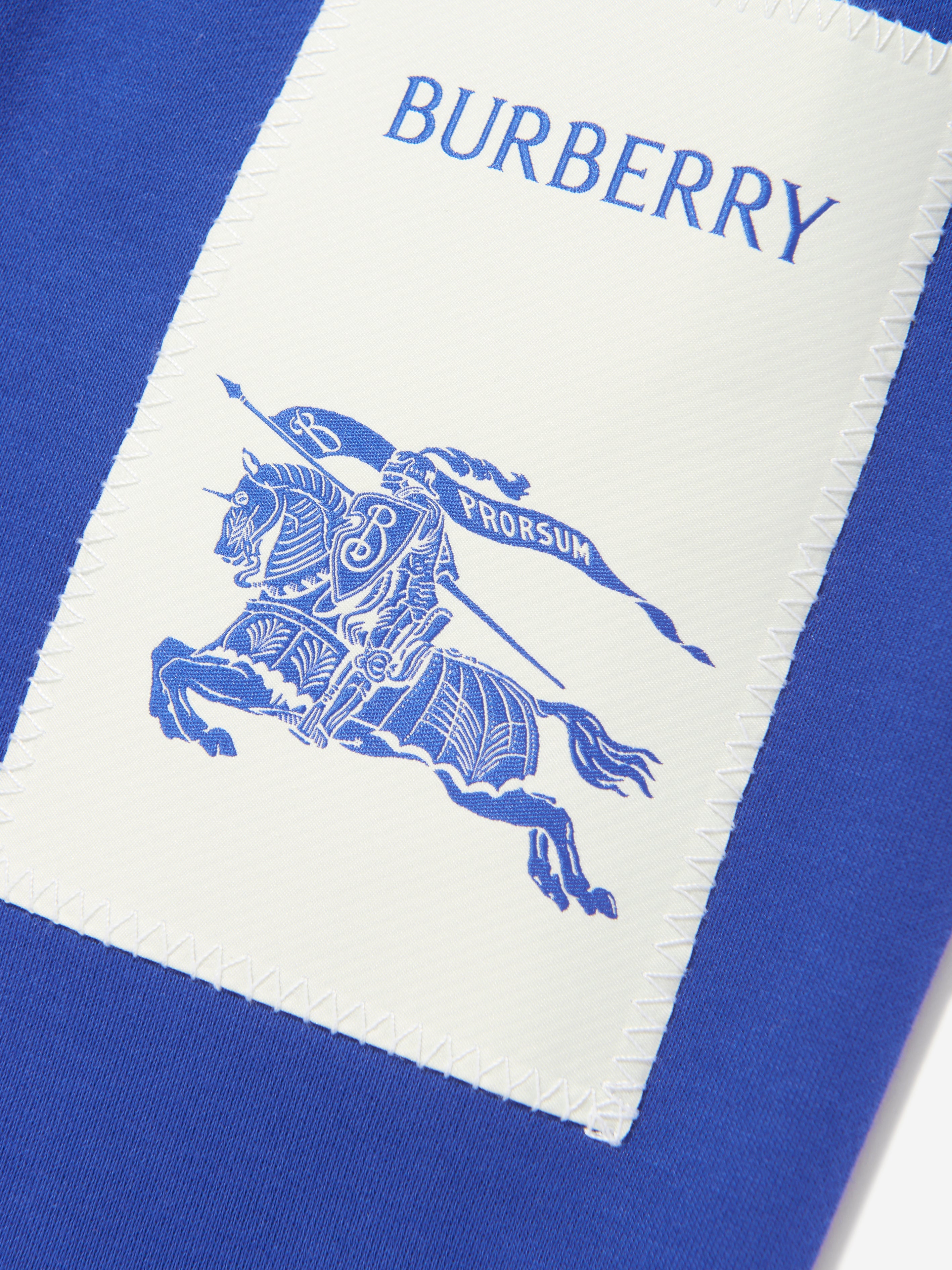 Boys EKD Label Sidney Joggers in Blue
