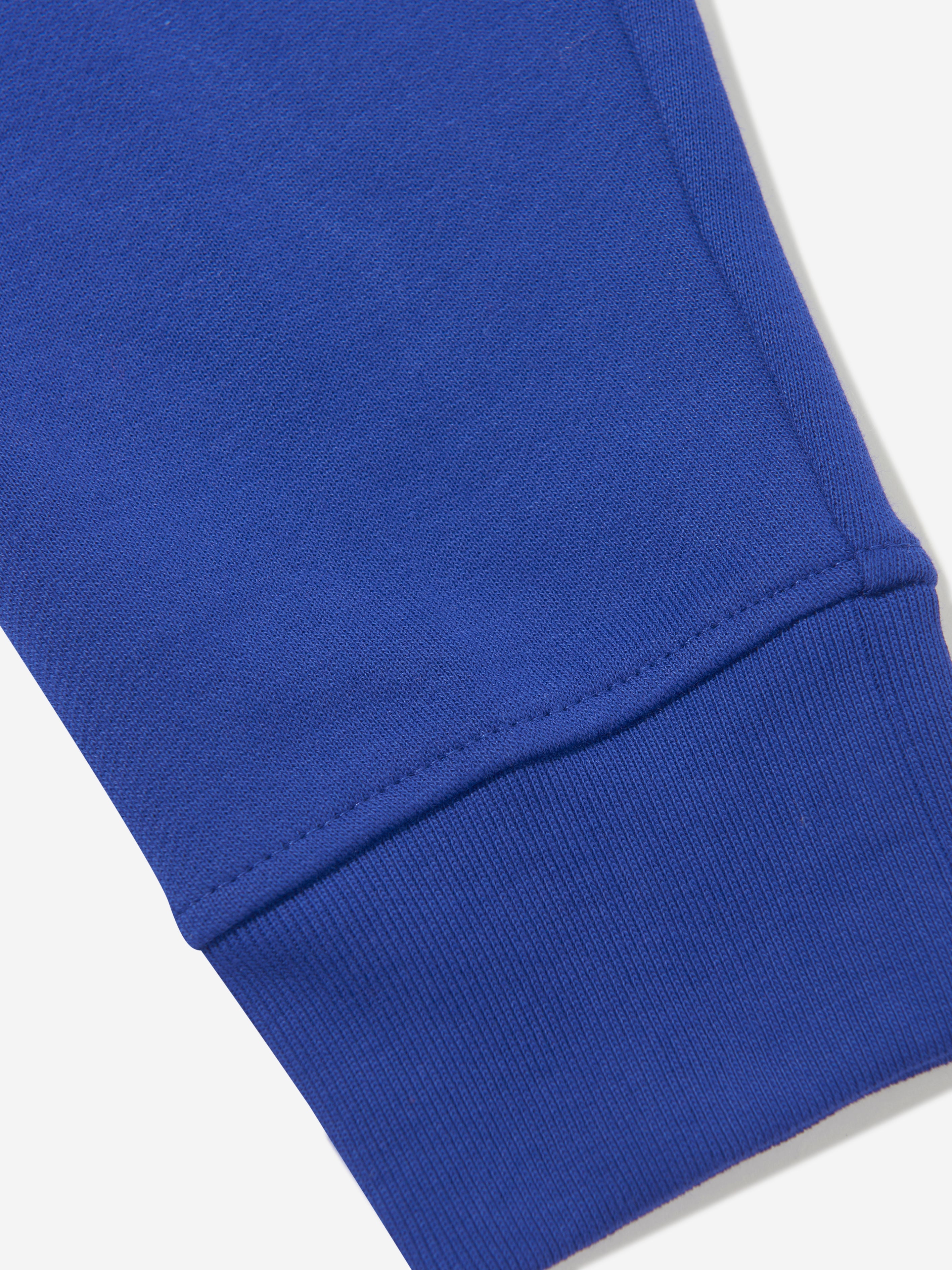 Boys EKD Label Sidney Joggers in Blue