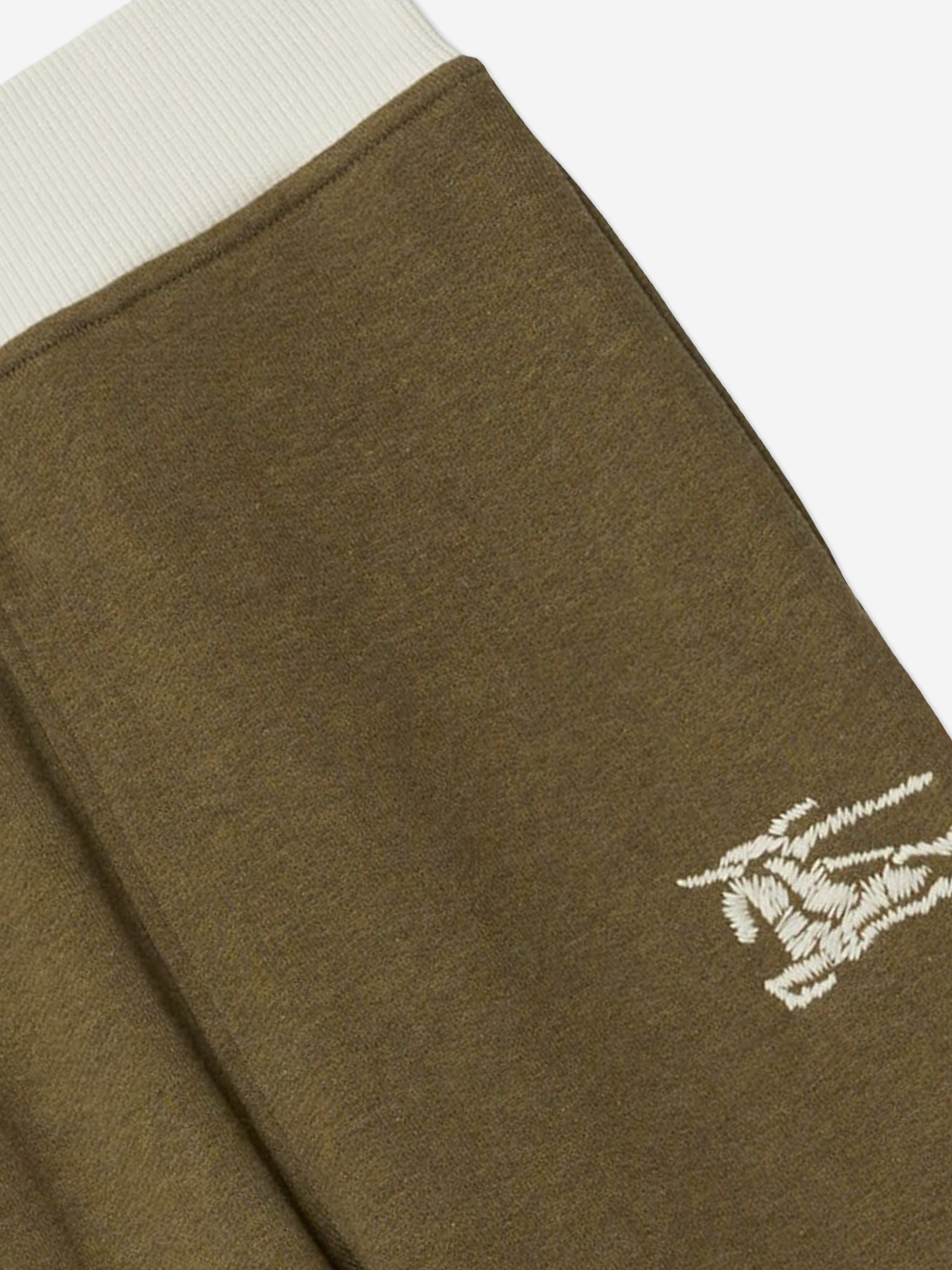 Boys EKD Logo Sidney Joggers in Green