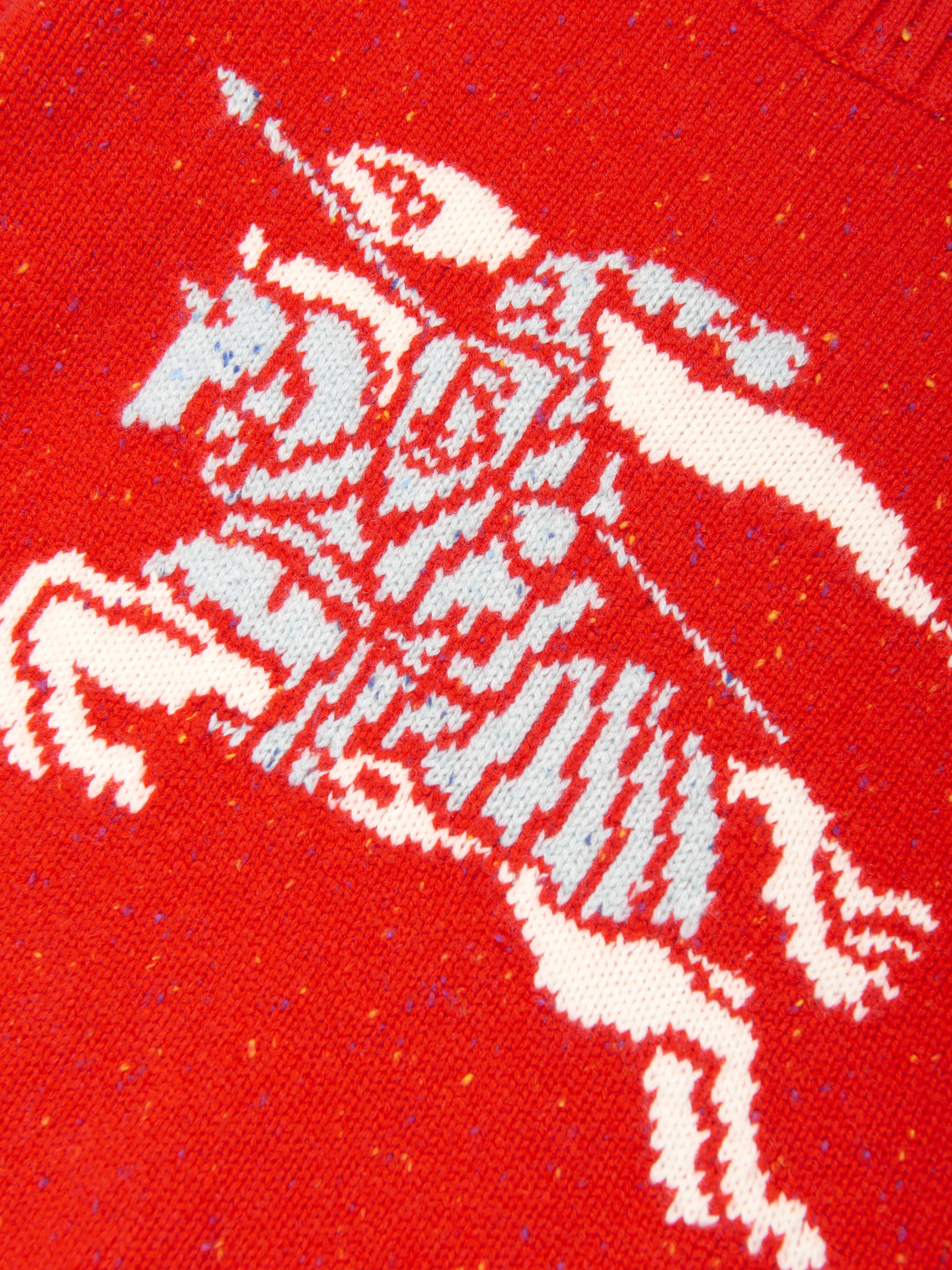 Boys Knitted EKD Patrick Jumper in Red