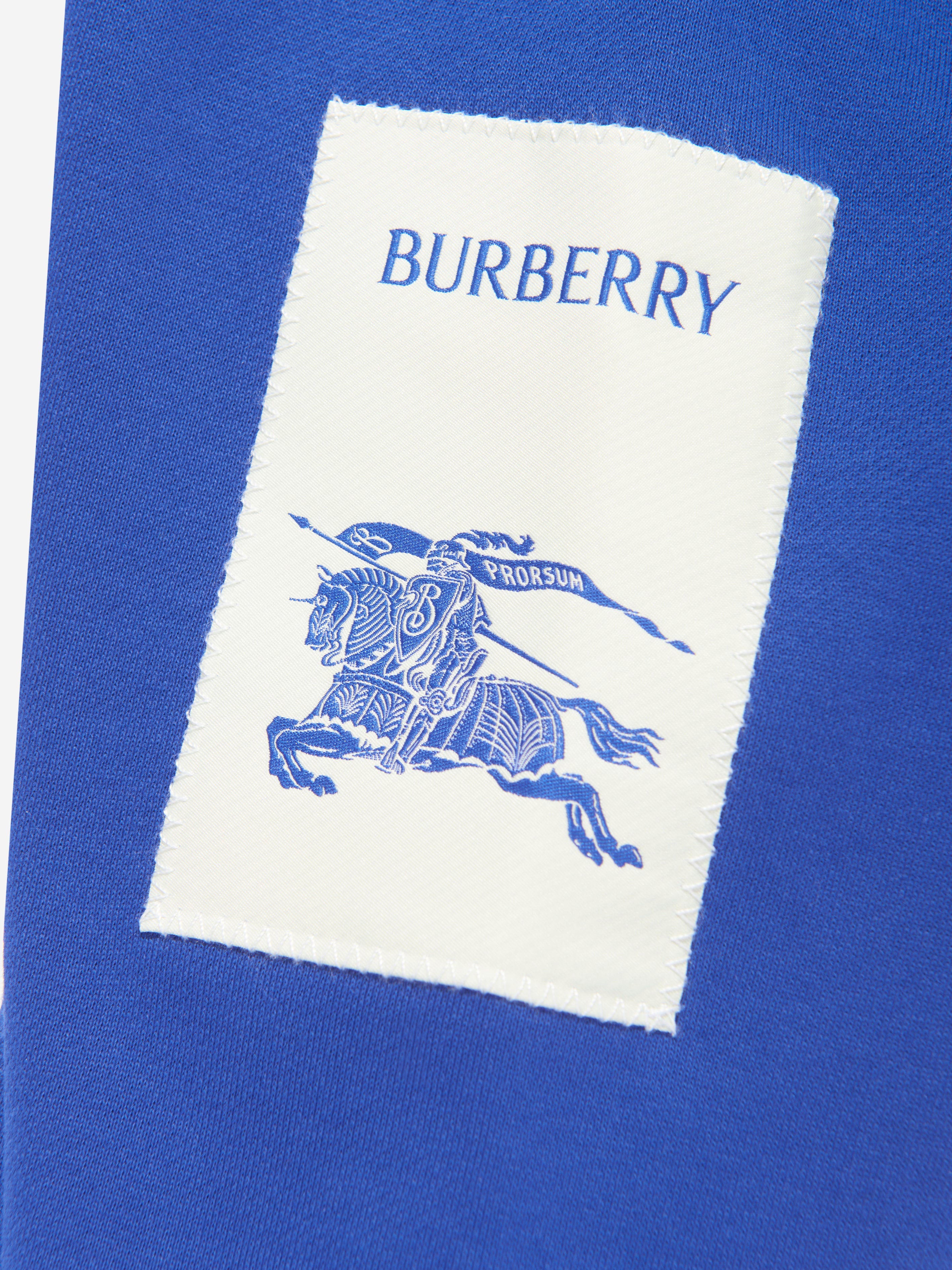 Baby Boys EKD Label Sidney Joggers in Blue