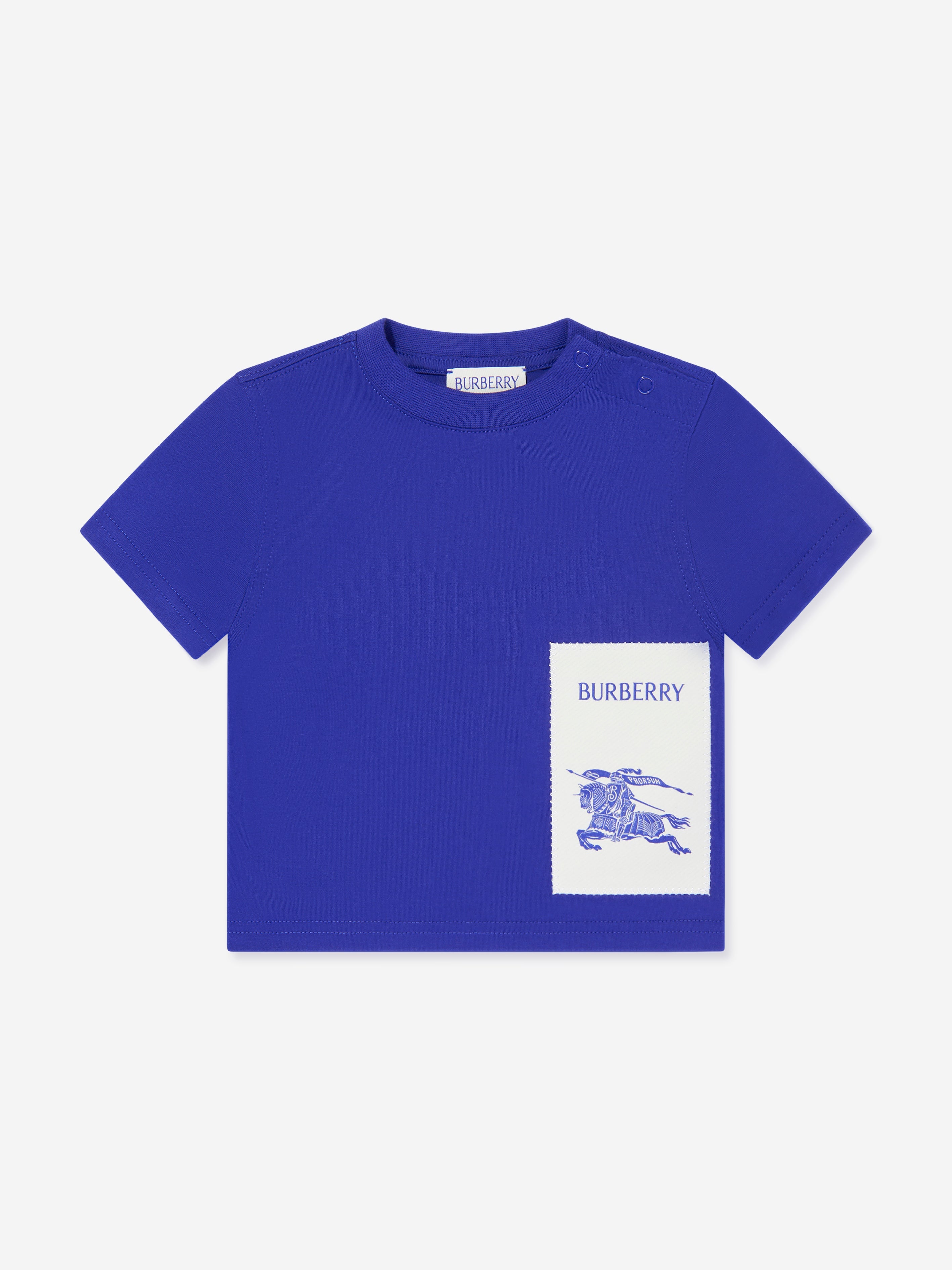 Baby Boys EKD Label Cedar T-Shirt in Blue