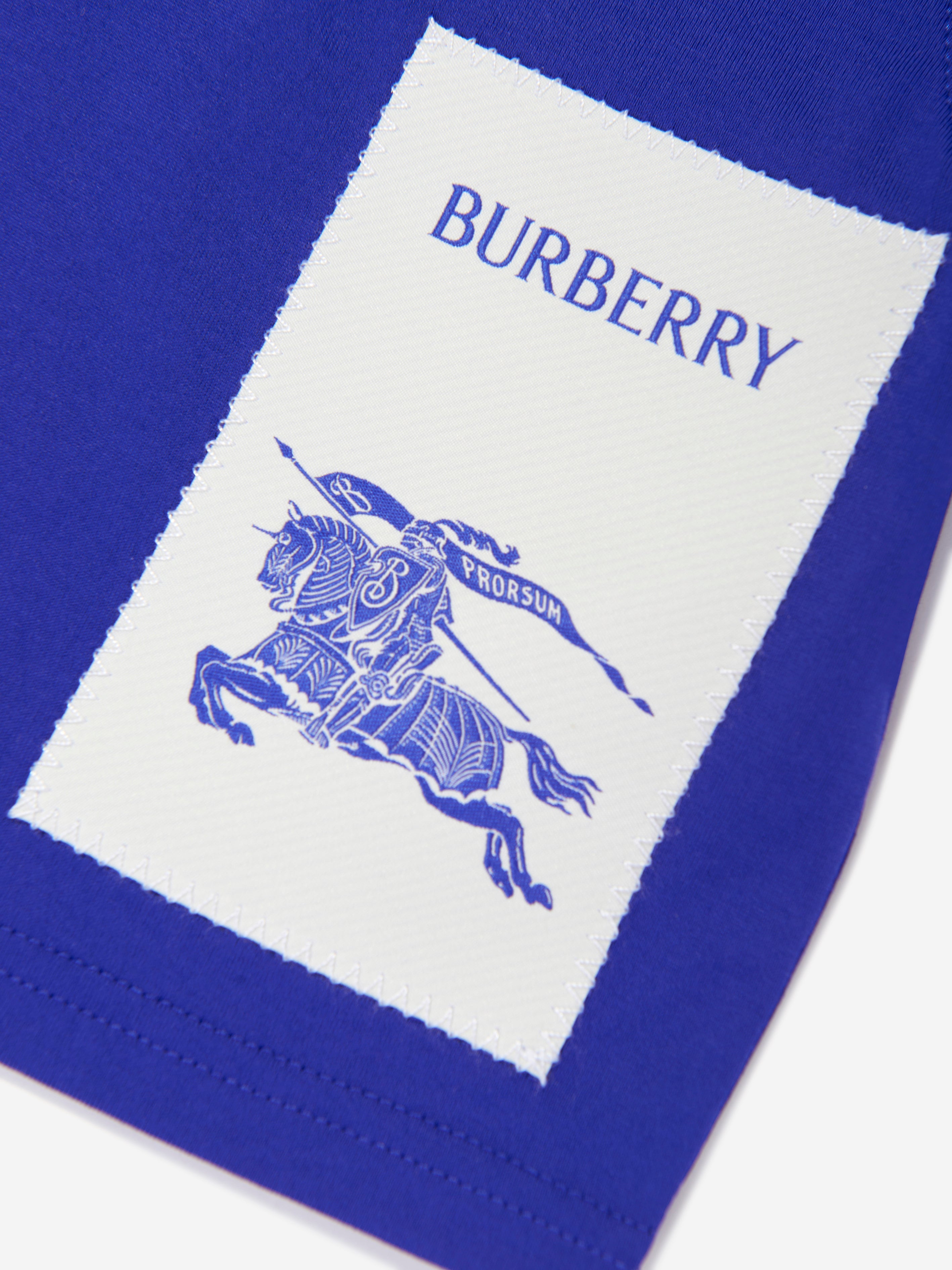 Baby Boys EKD Label Cedar T-Shirt in Blue