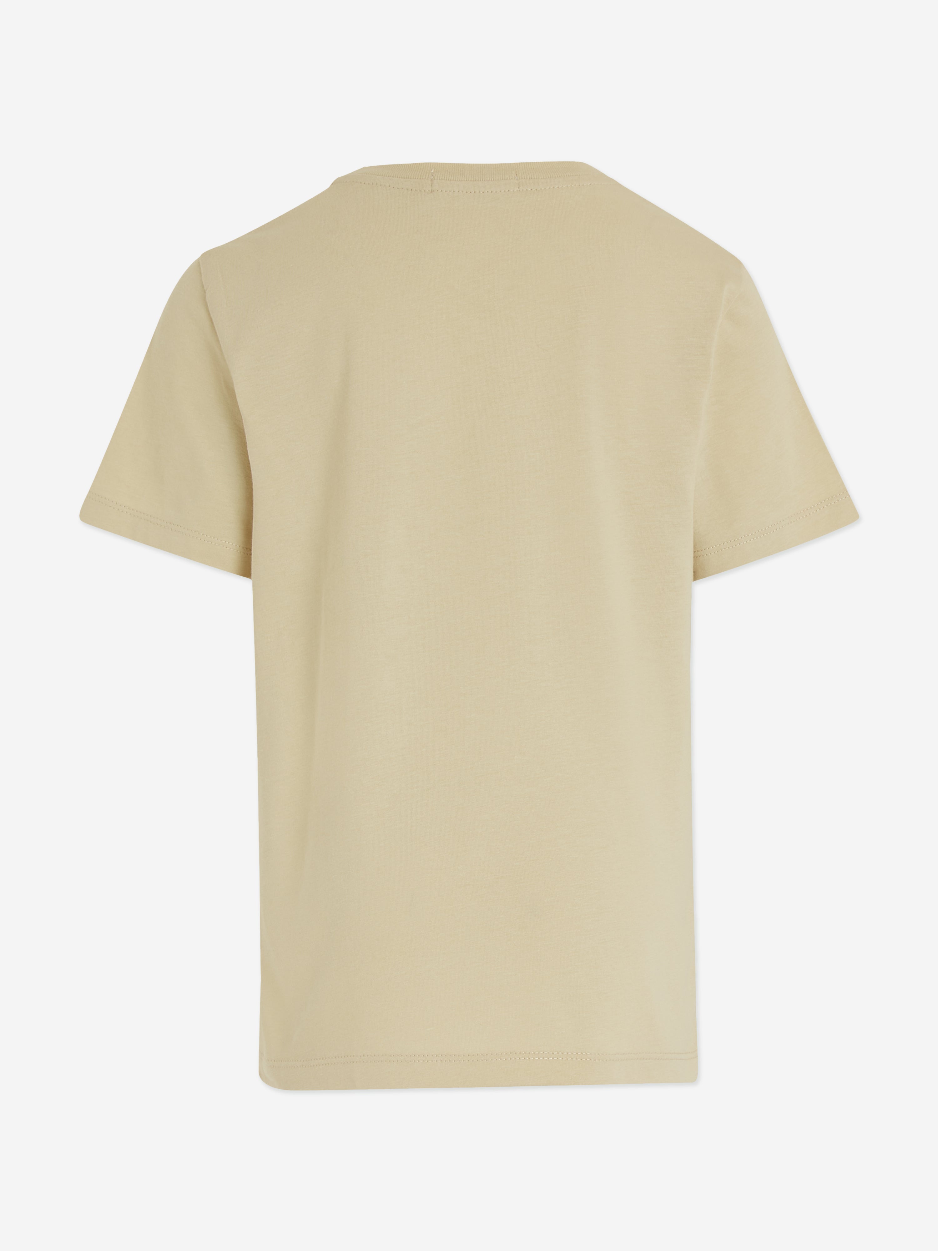Calvin Klein Boys Minimalistic Logo T-Shirt in Green