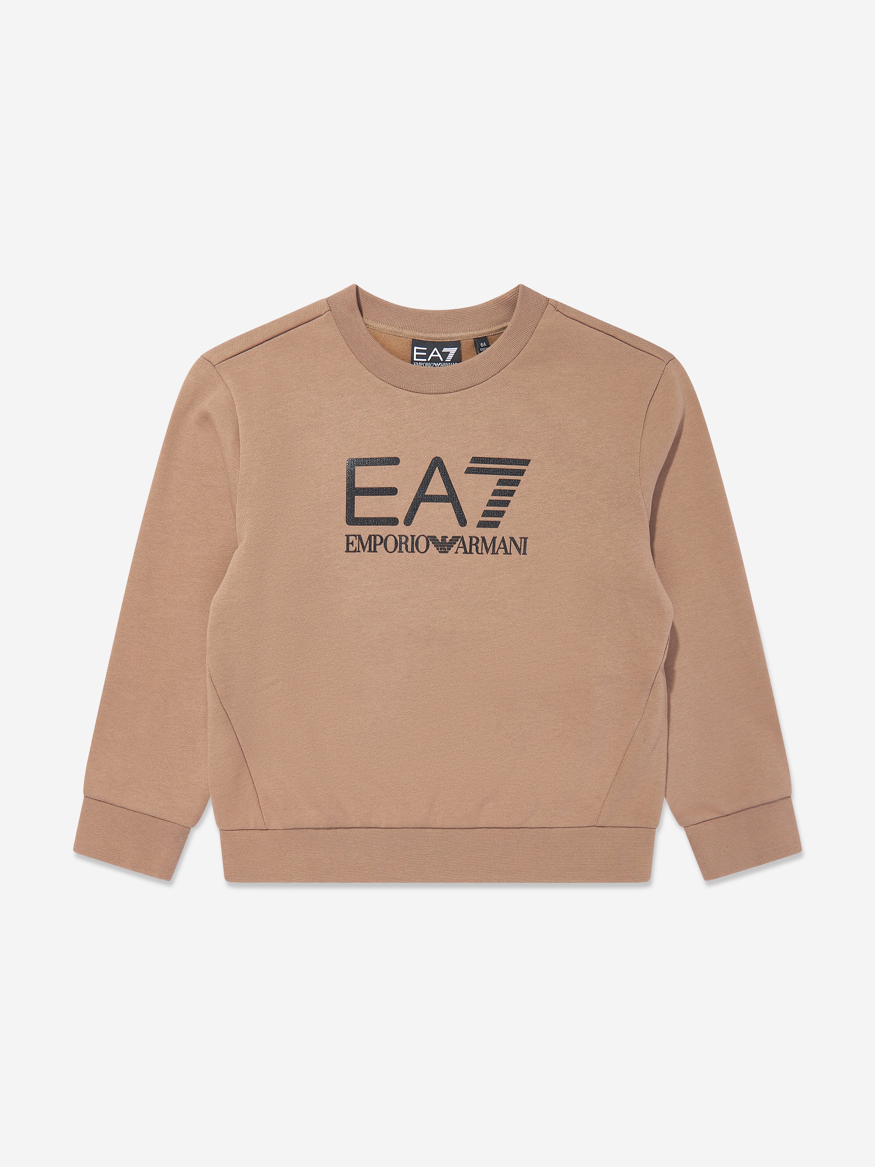 Boys Logo Sweatshirt in Brown