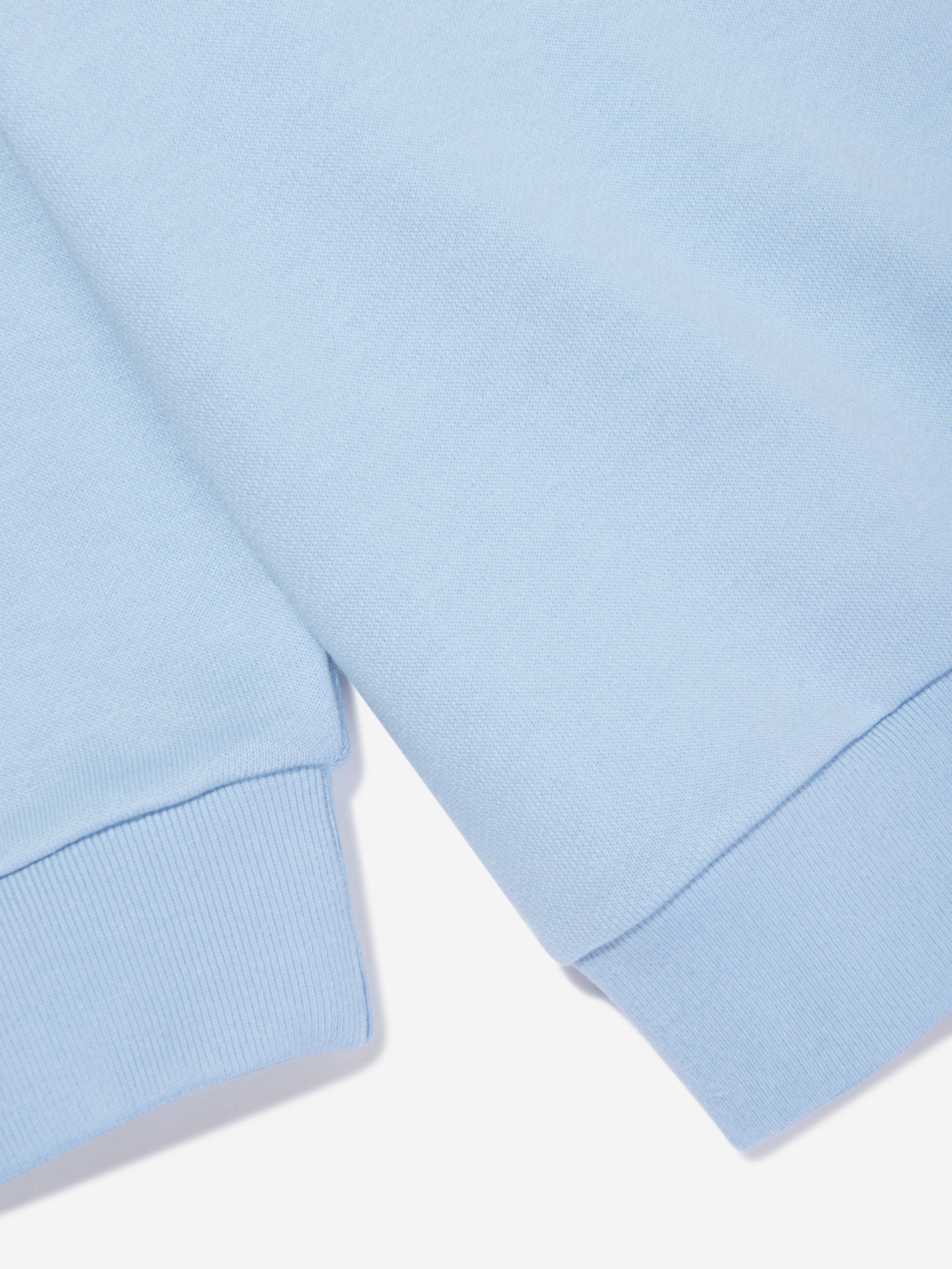 Kids Logo Sweatshirt in Blue