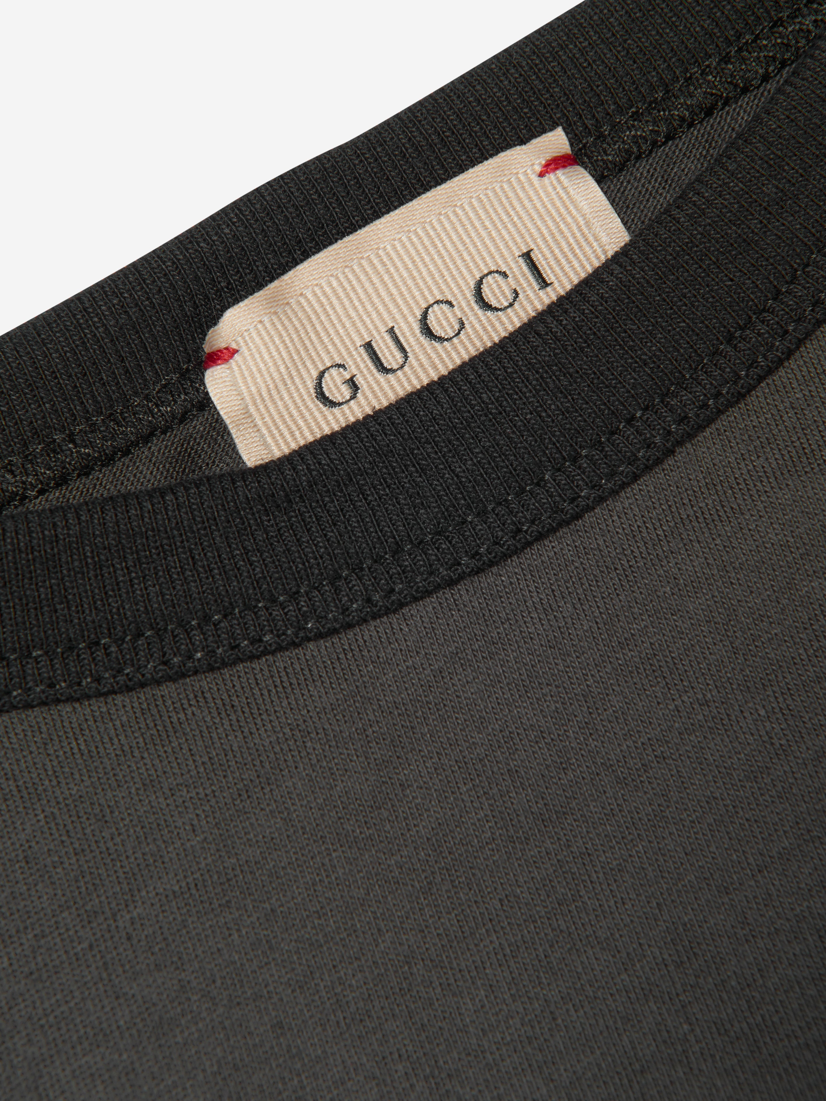 Boys Tiger Logo T-Shirt in Grey