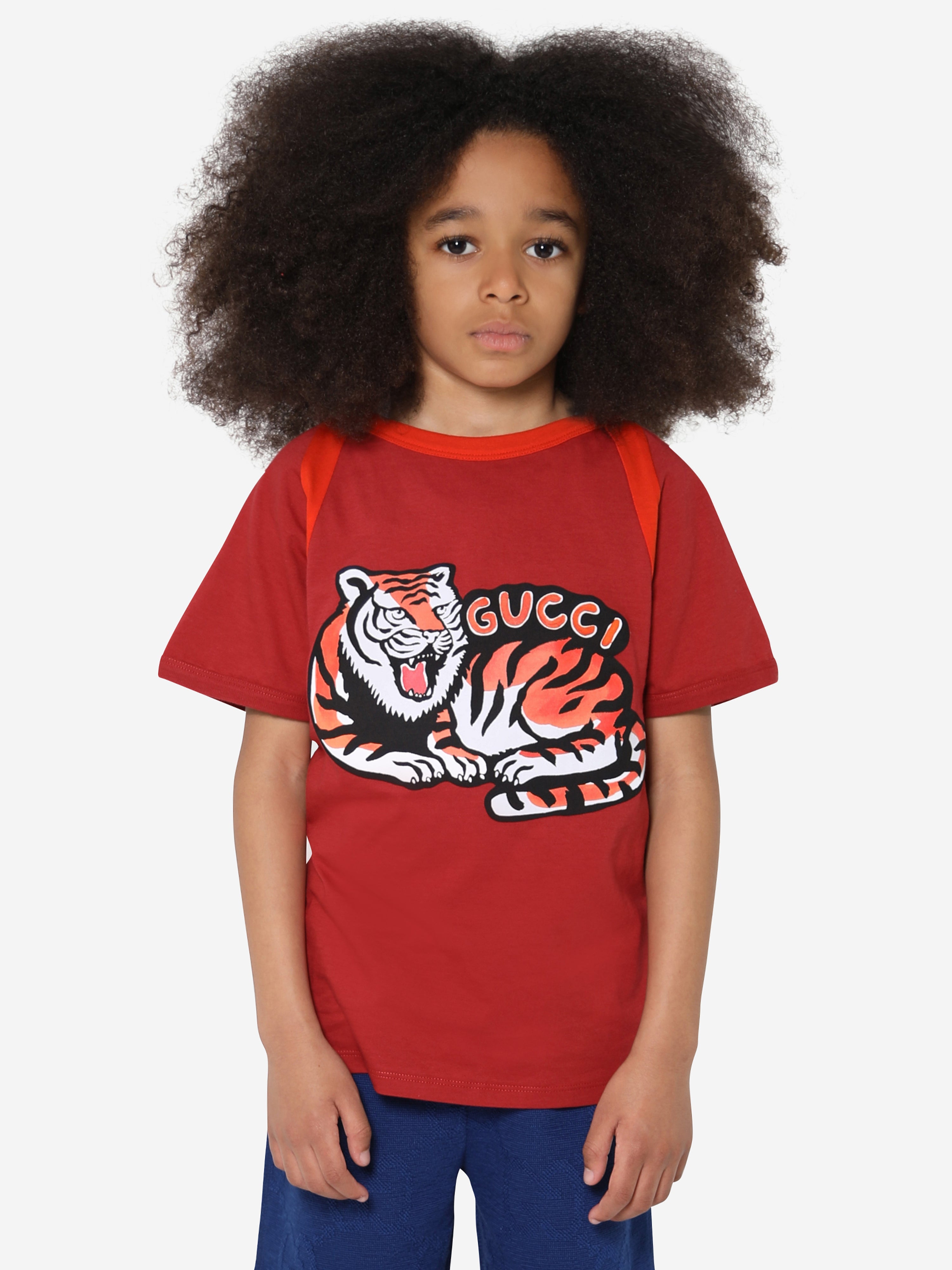 Boys Tiger T-Shirt in Red