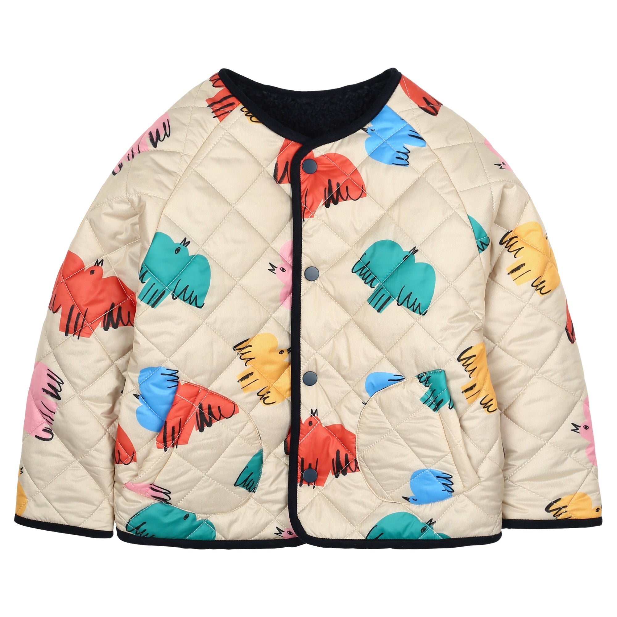 Boys & Girls Beige Reversible Jacket