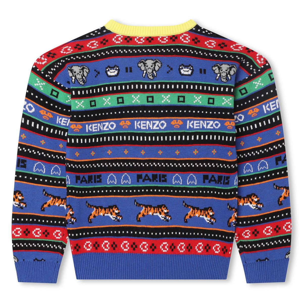 Boys Blue Sweater