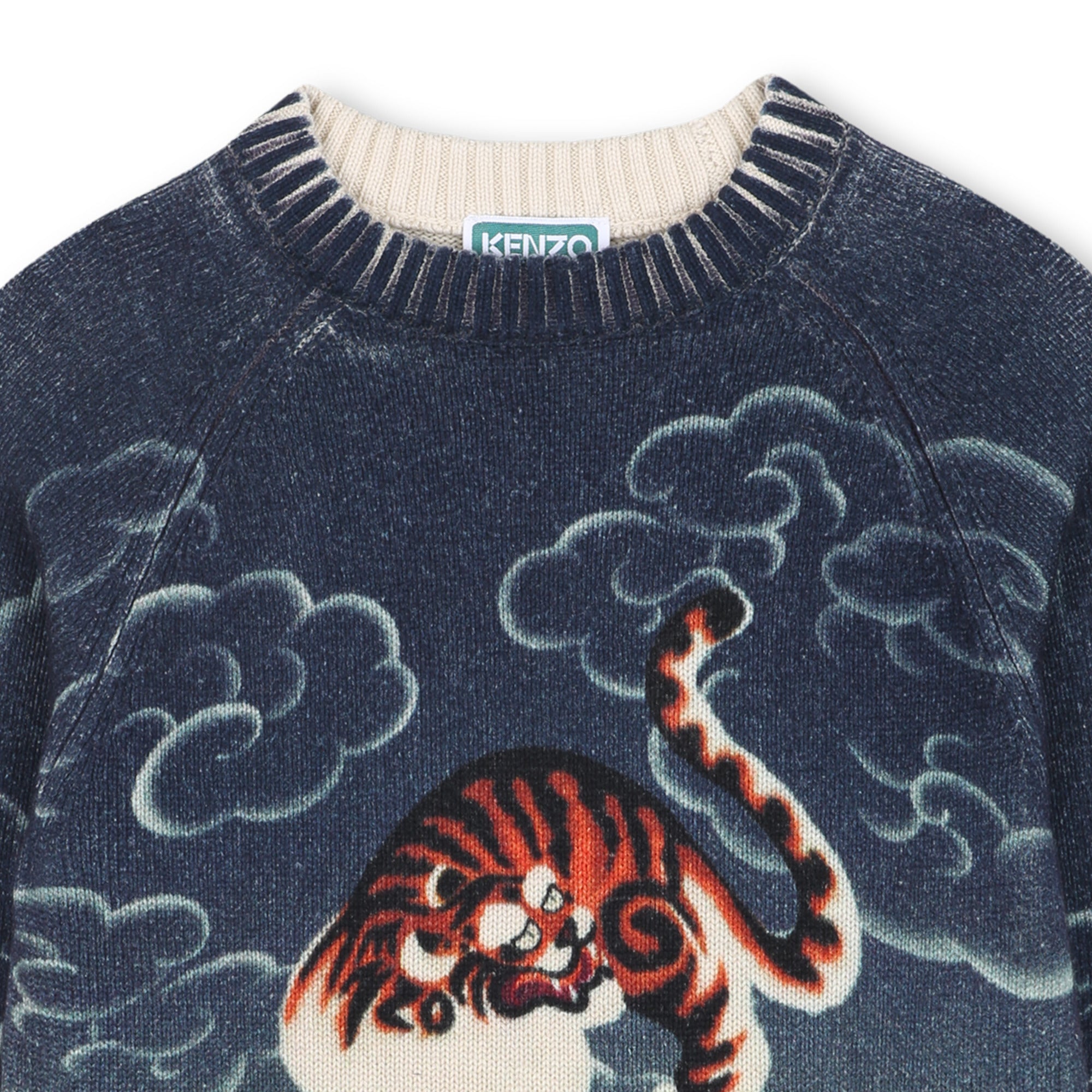 Boys Blue Printed Cotton Knit Sweater