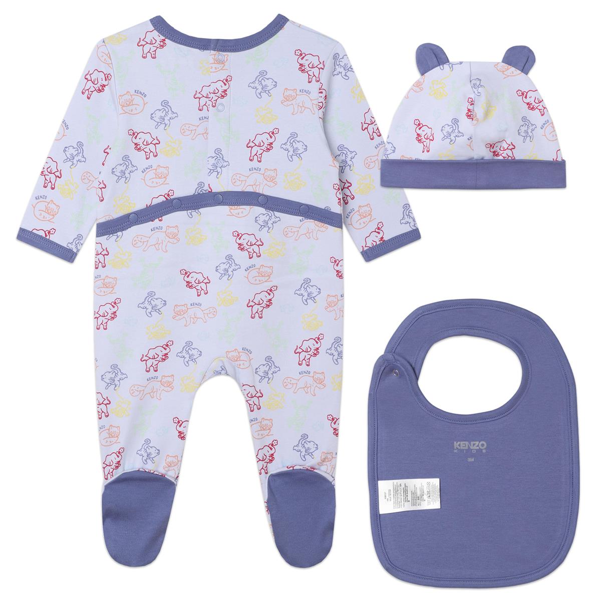Baby Boys Light Blue Printed Babysuit Set