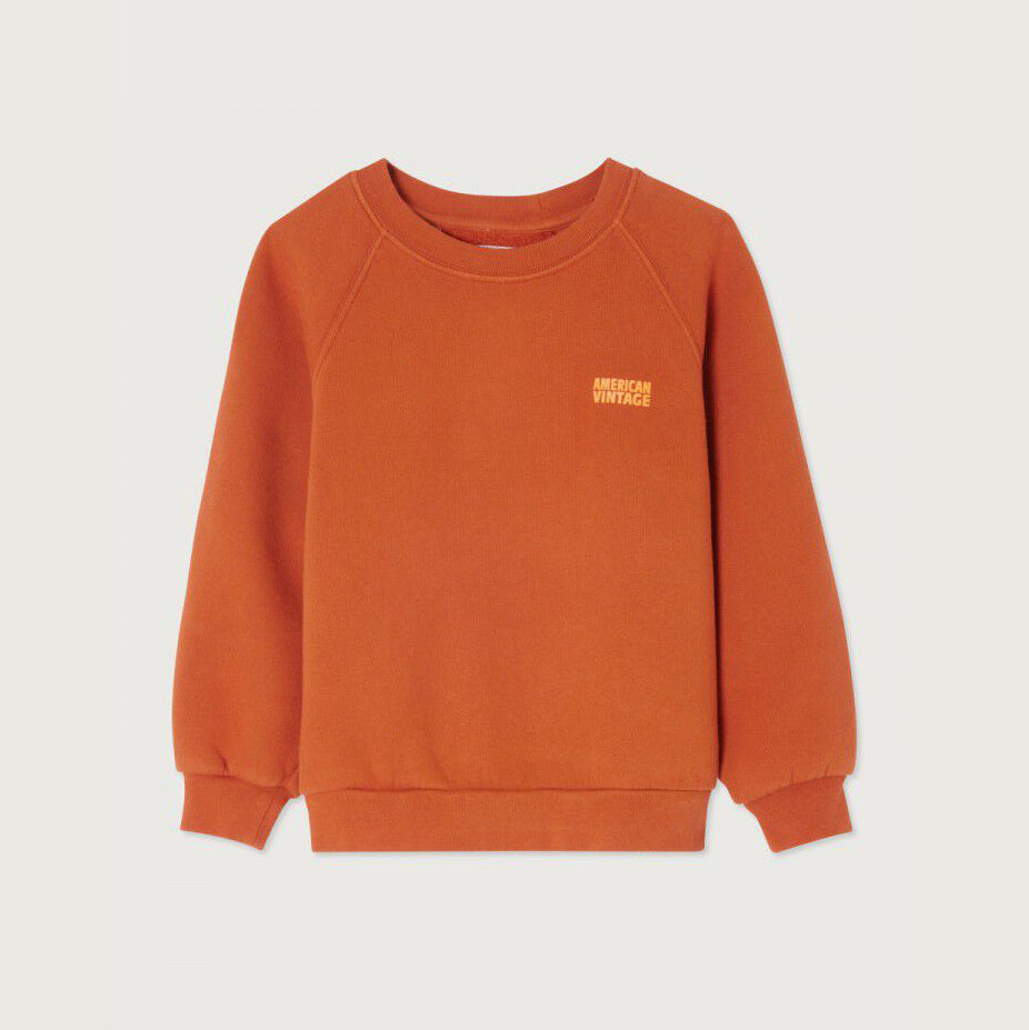 Boys & Girls Orange Cotton Sweatshirt