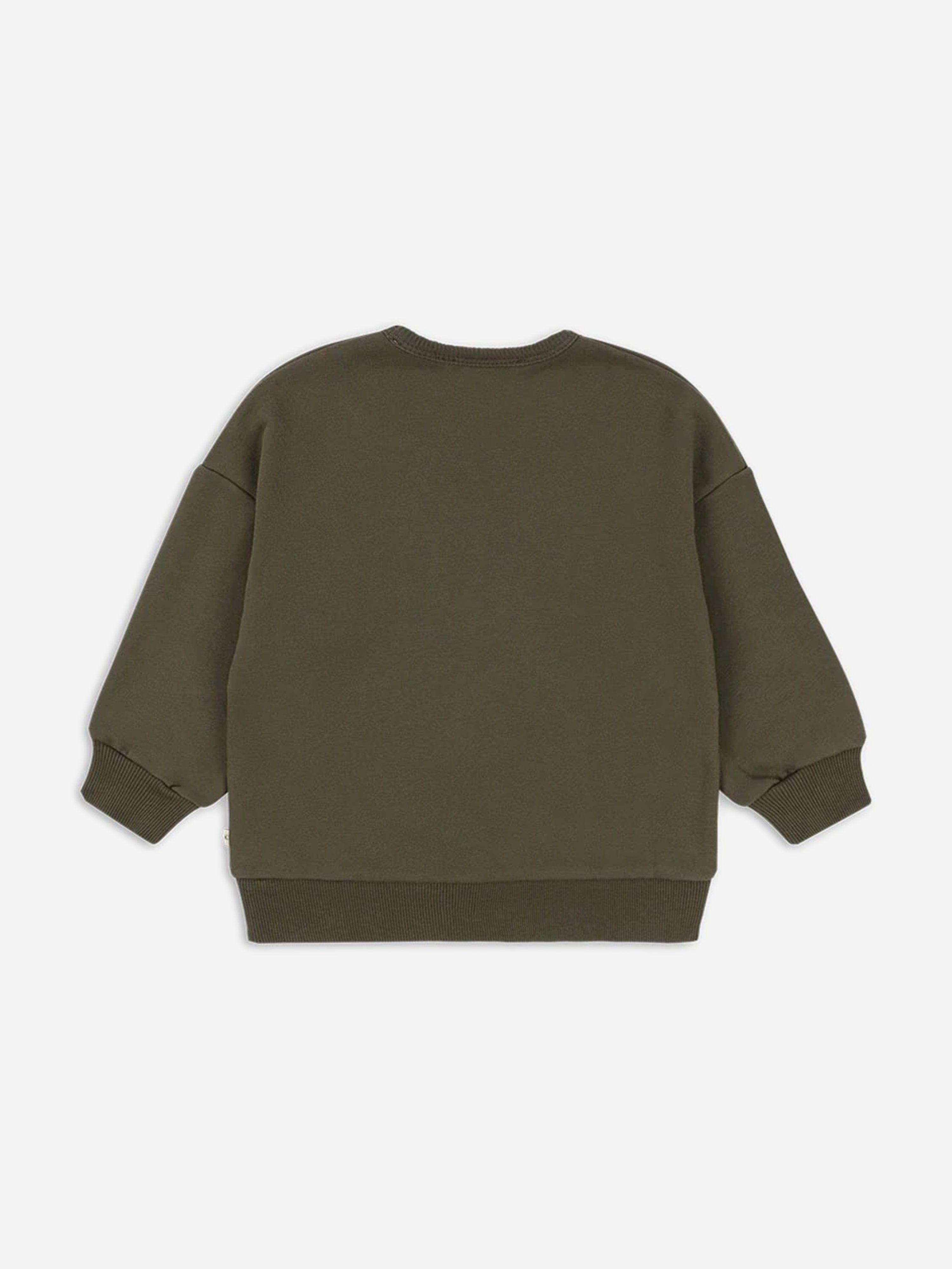 Boys Lou Sweatshirt in Green
