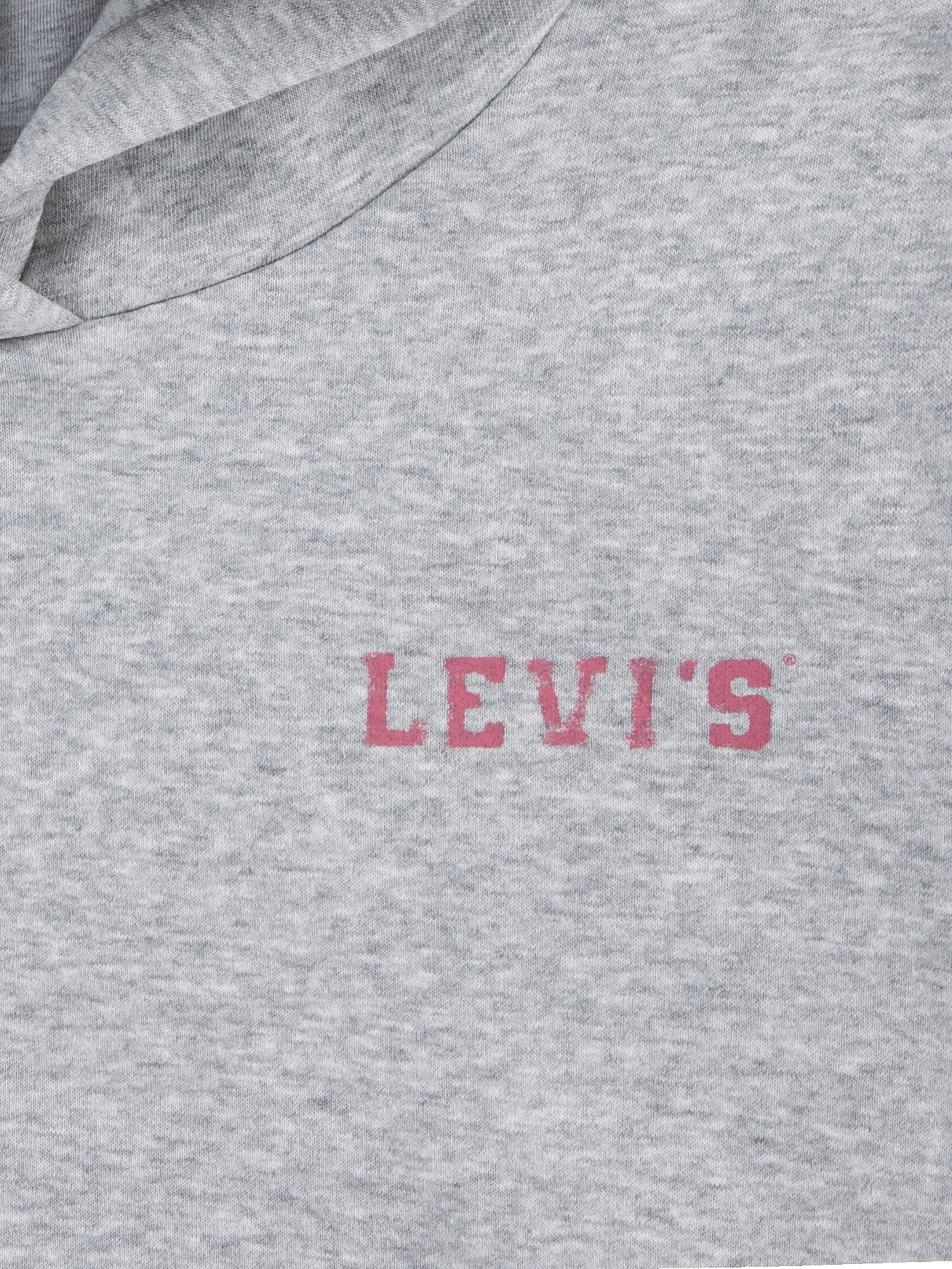 Girls Collegiate Hoodie in Grey