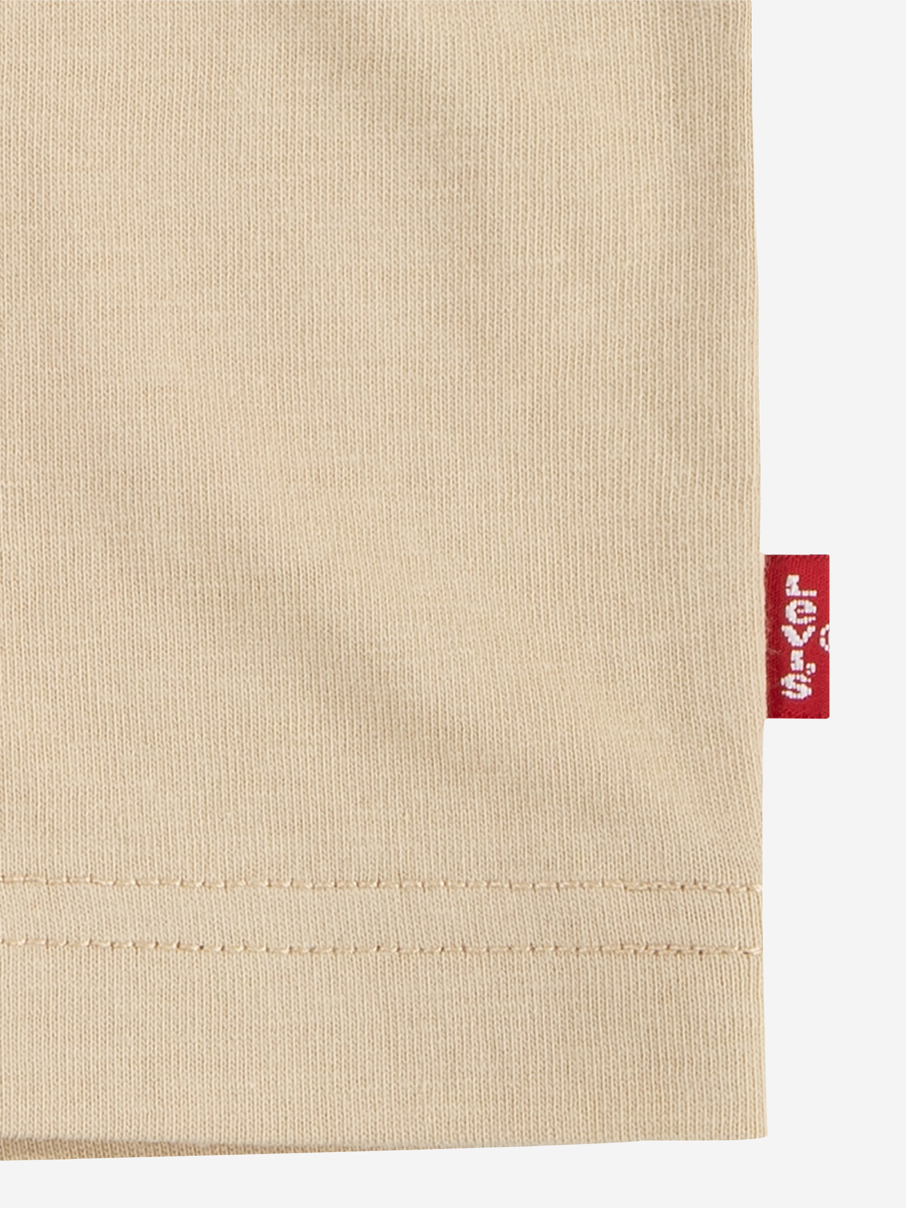 Levi's Boys Forested Mountains Batwing T-Shirt in Beige