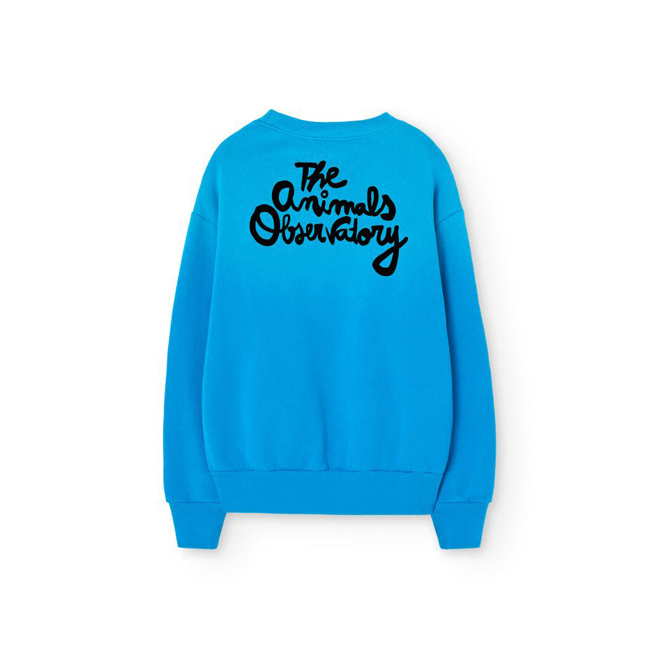 Boys & Girls Blue Cotton Sweatshirt