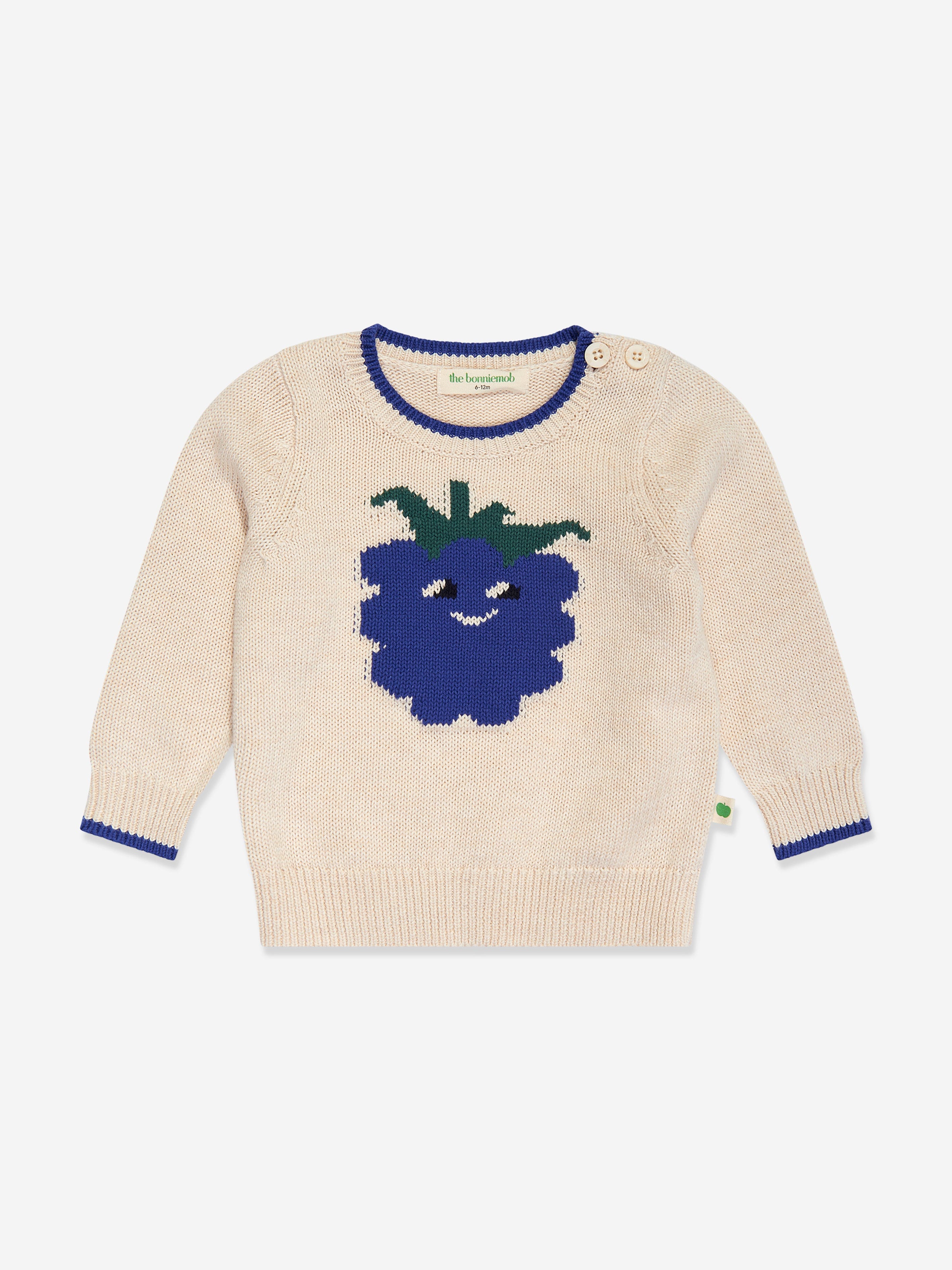 Boys Blackberry Knit Jumper in Ivory