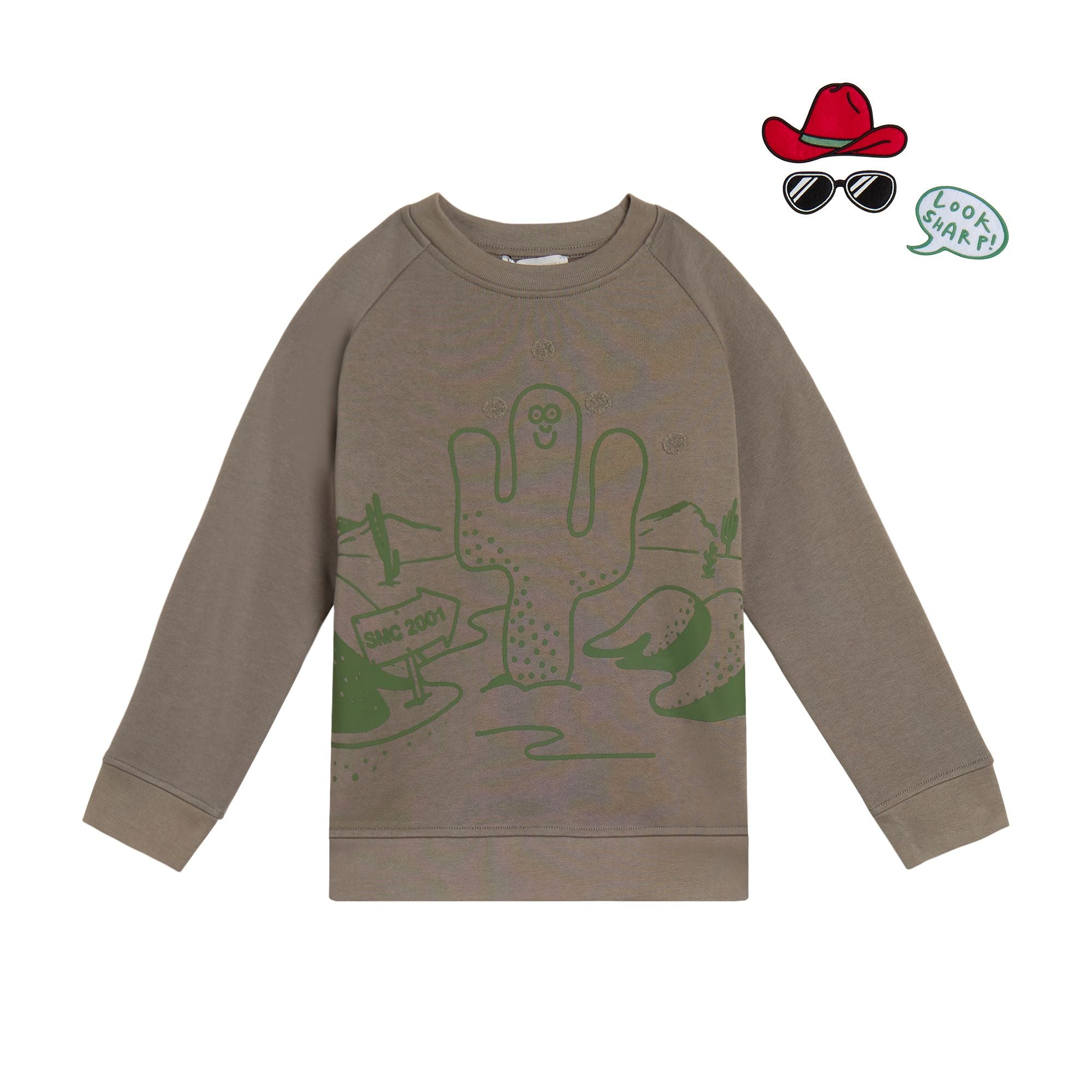Boys Brown Printed Cotton Sweatshirt