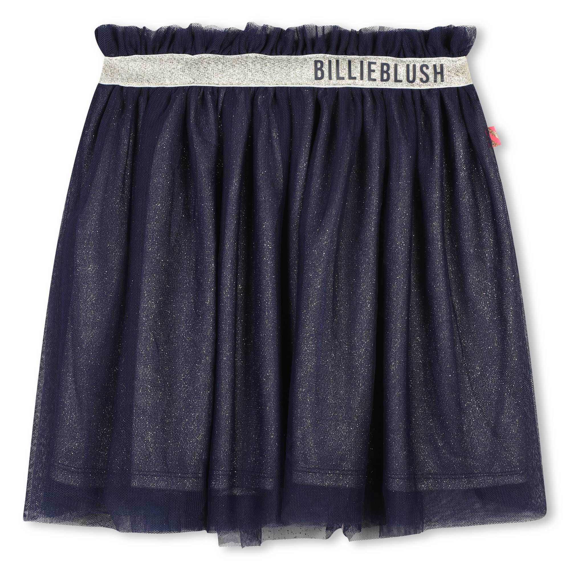 Girls Navy Tulle Skirt