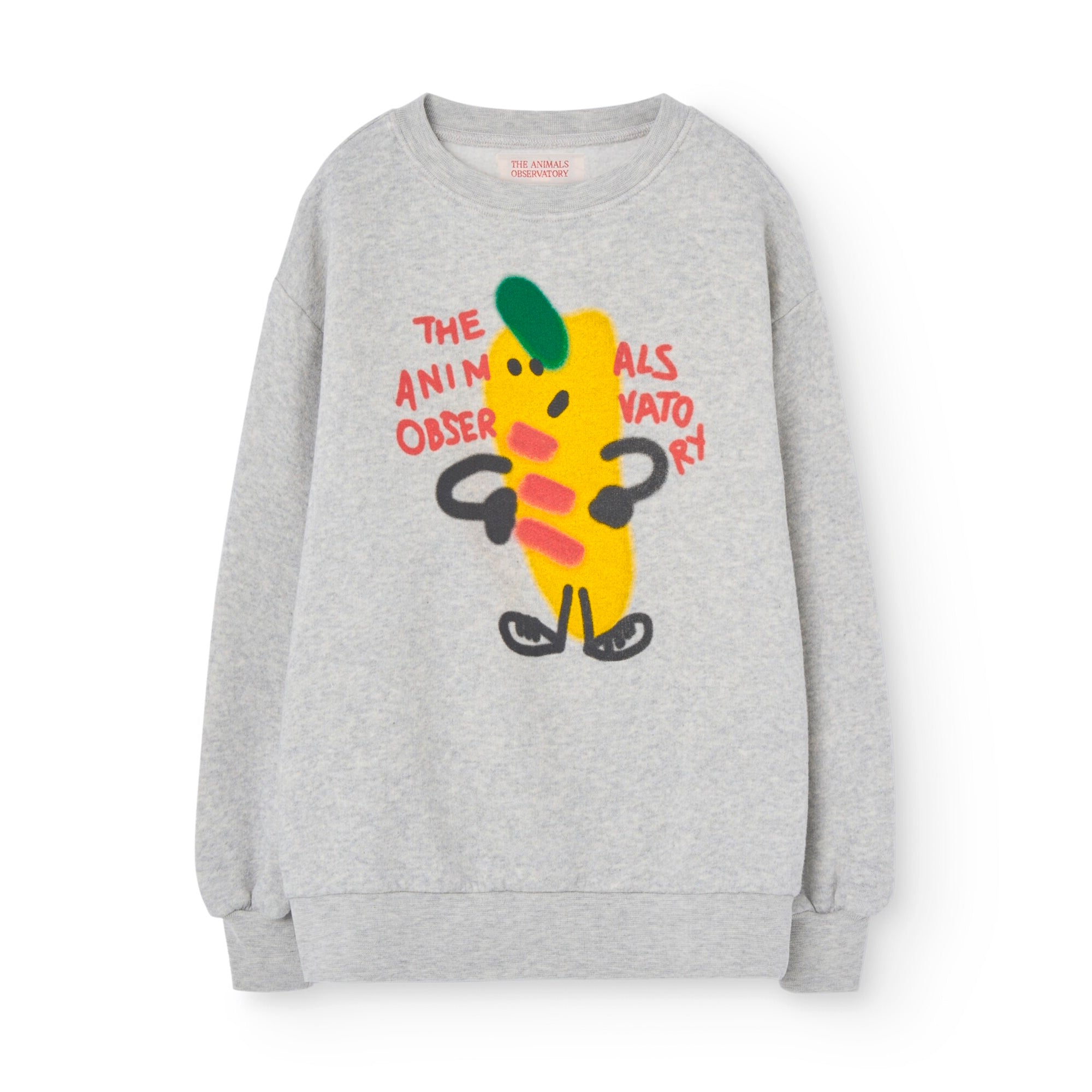 Boys & Girls Grey Printed Cotton Sweatshirt