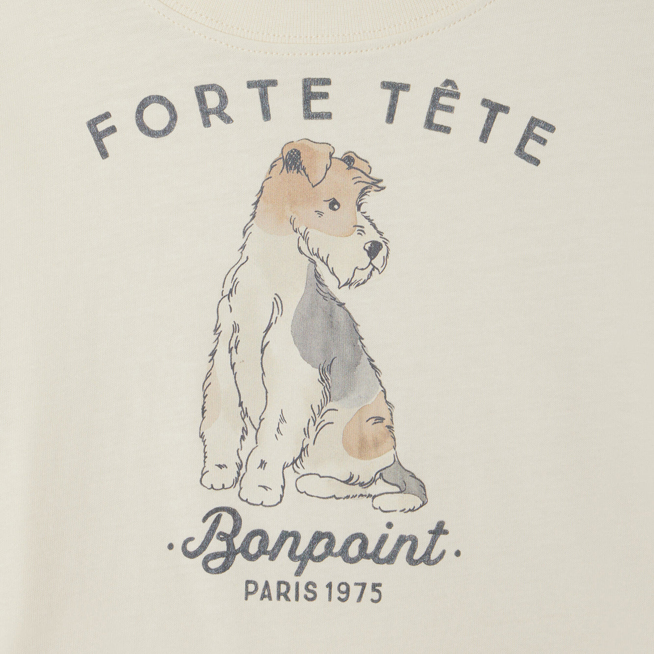 Boys White Printed Cotton T-Shirt