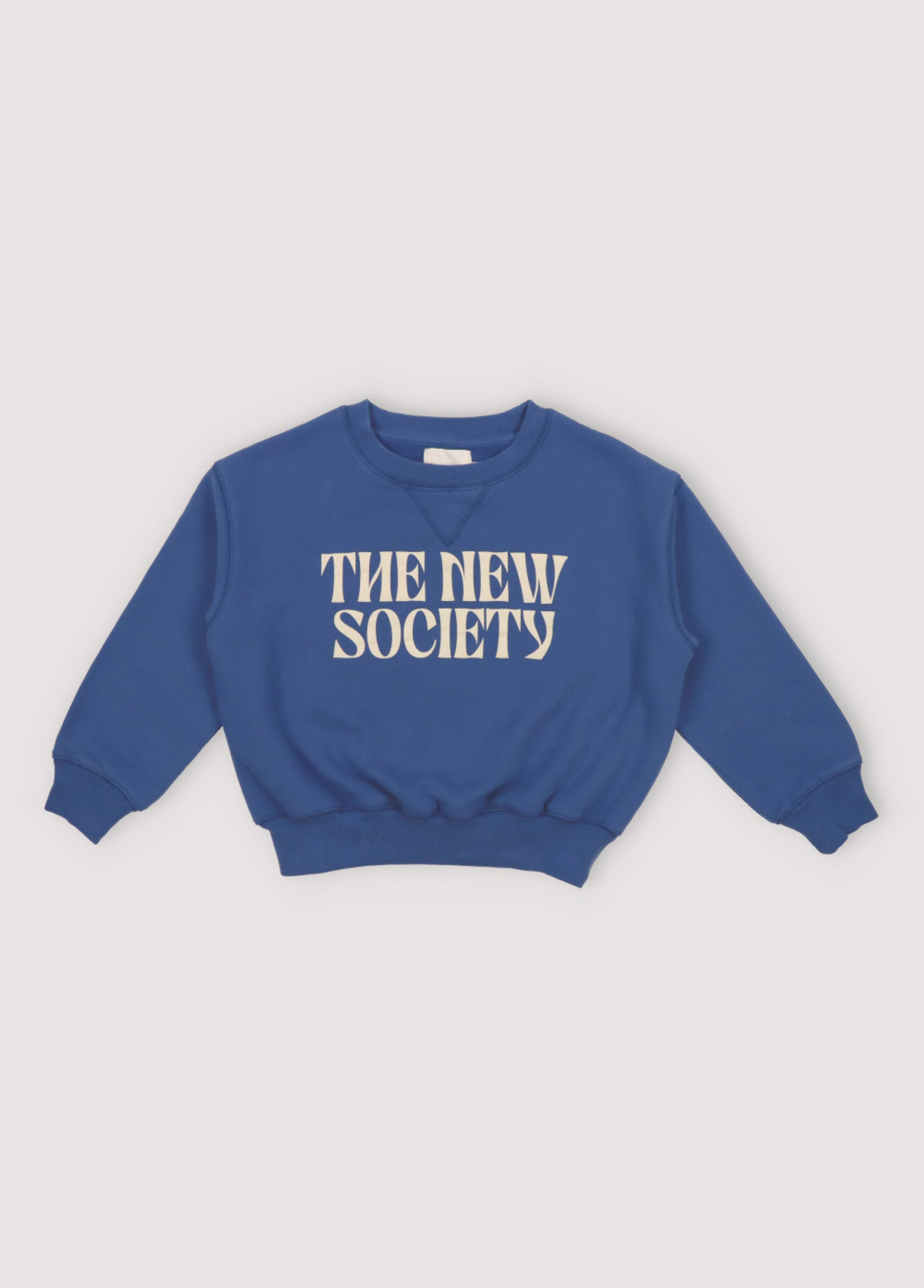 Boys Blue Logo Cotton Sweatshirt
