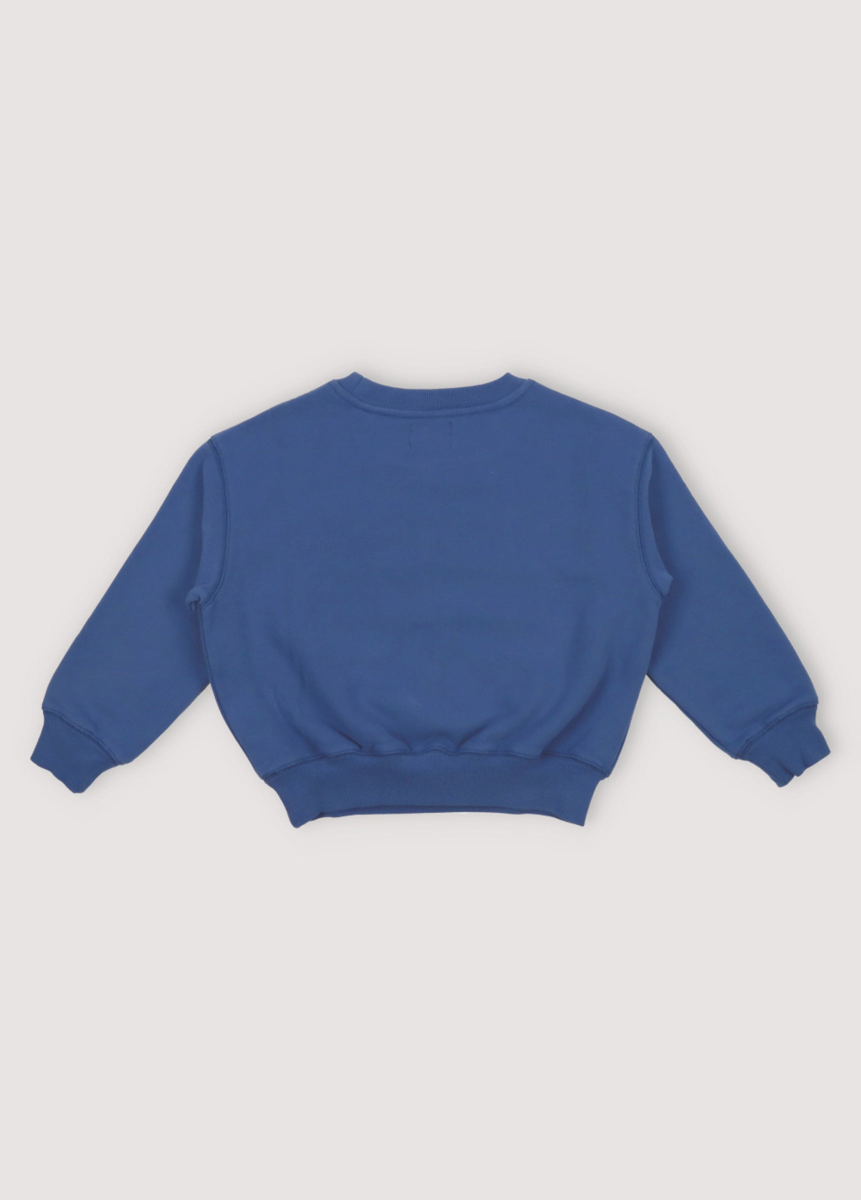 Boys Blue Logo Cotton Sweatshirt