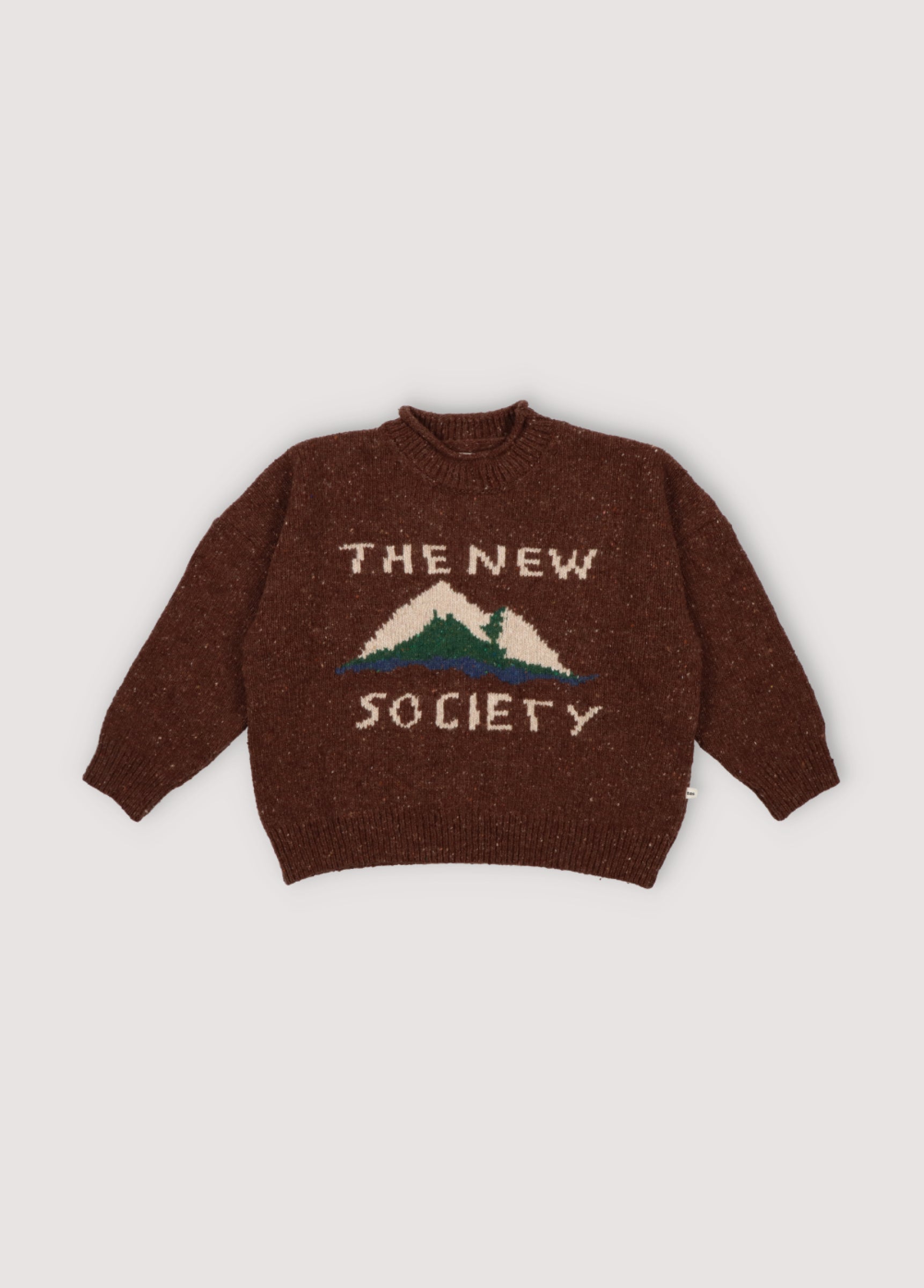 Boys Brown Knit Sweater