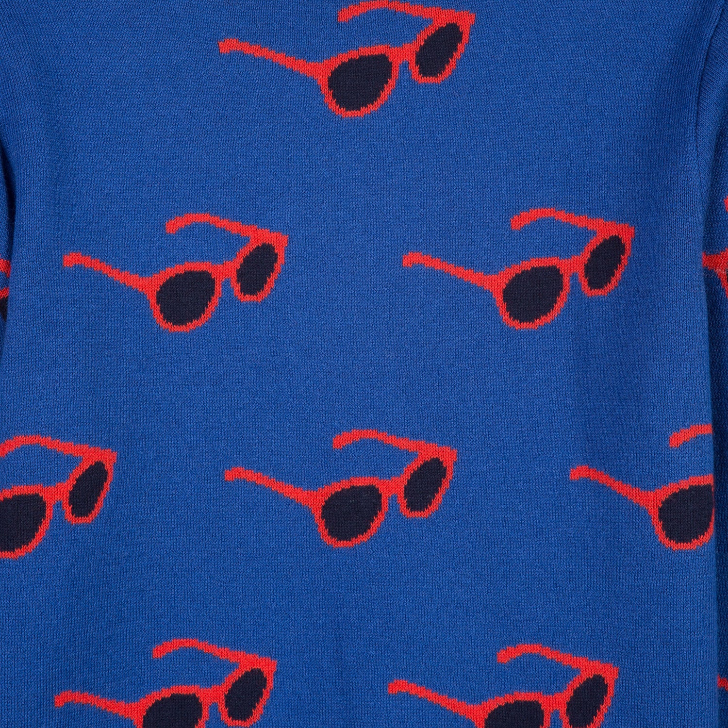 Boys Blue Glasses Cotton Sweater