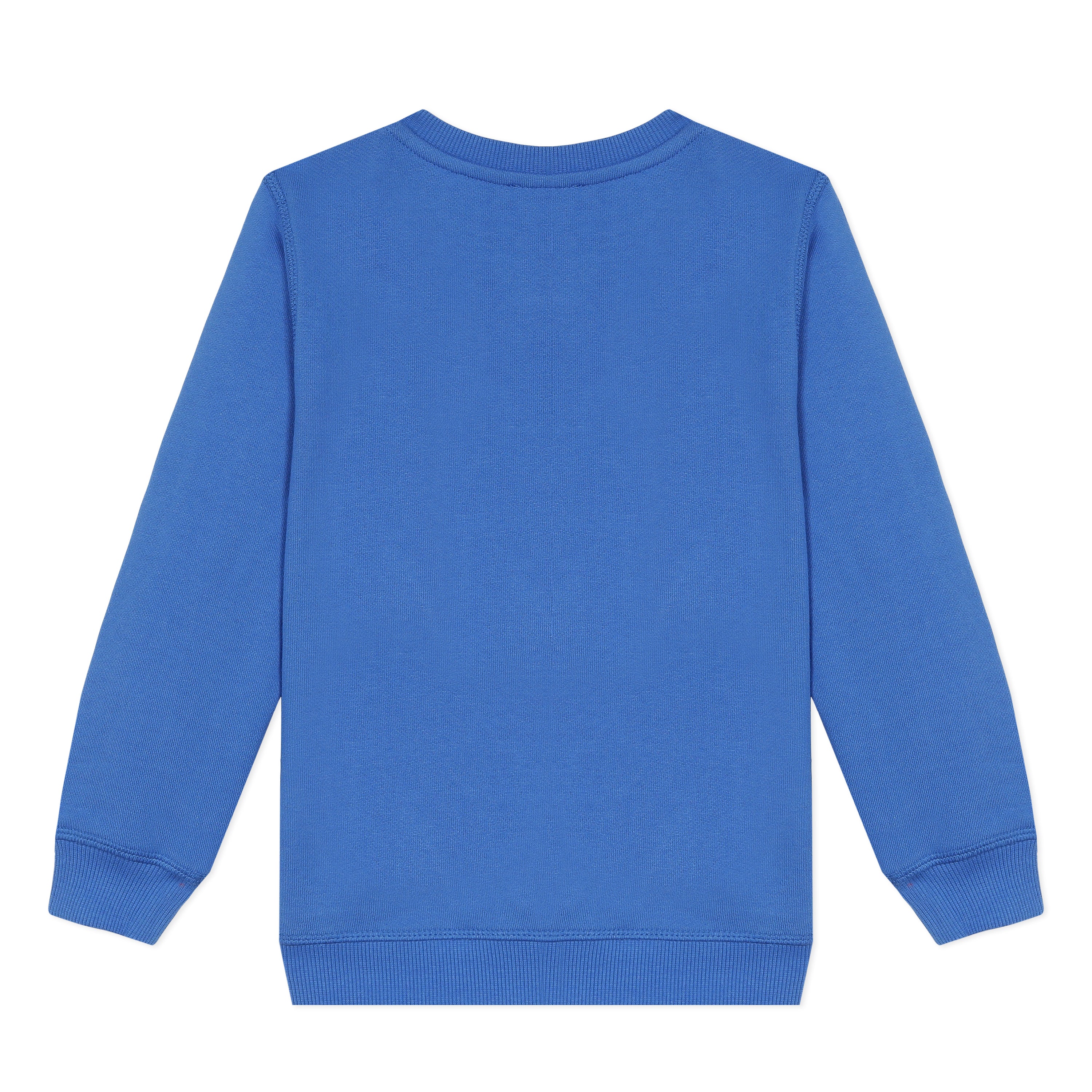 Boys Vivid Blue Cotton Sweatshirt