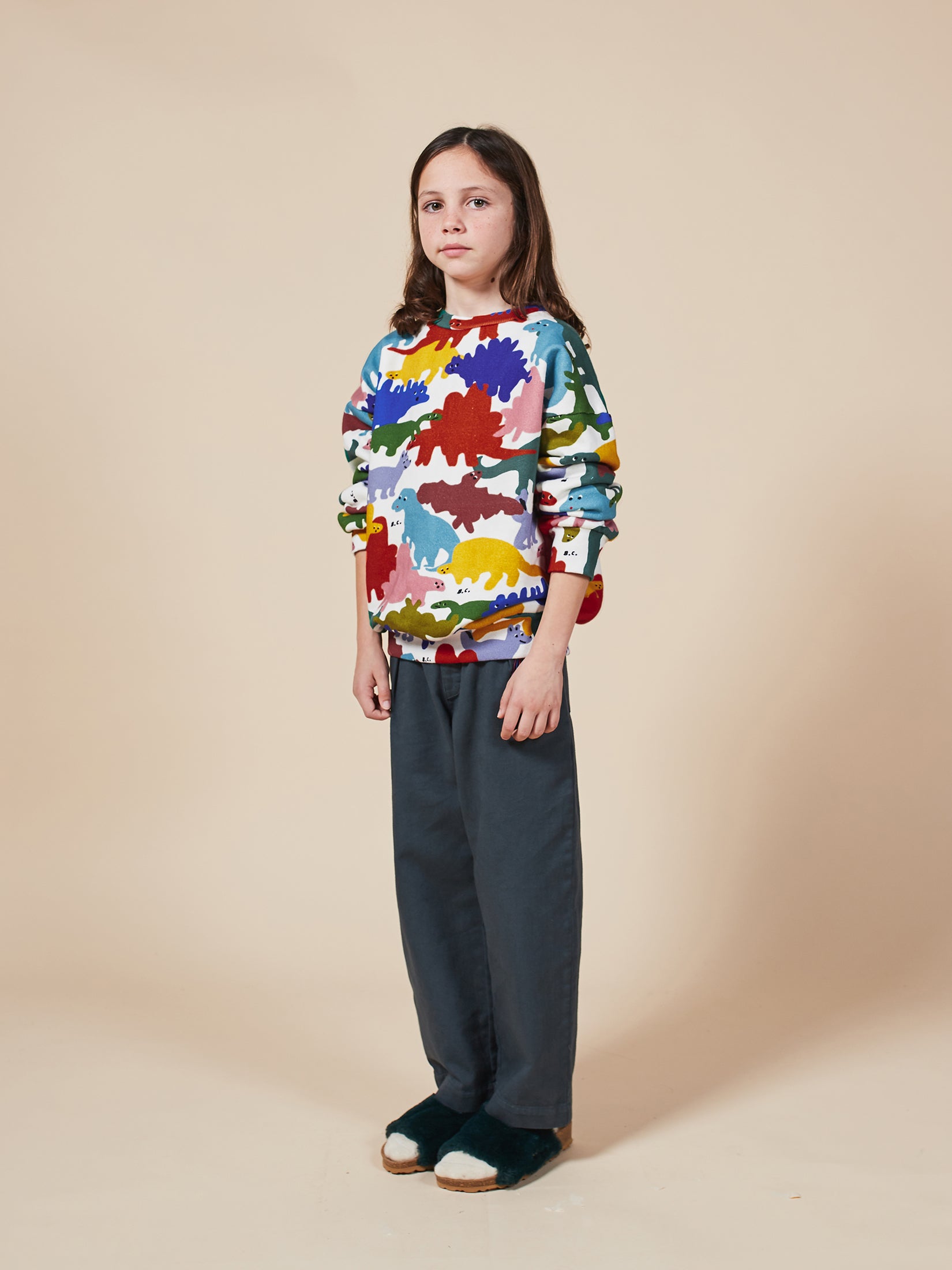 Boys Pristine Dinos Organic Cotton Sweatshirt