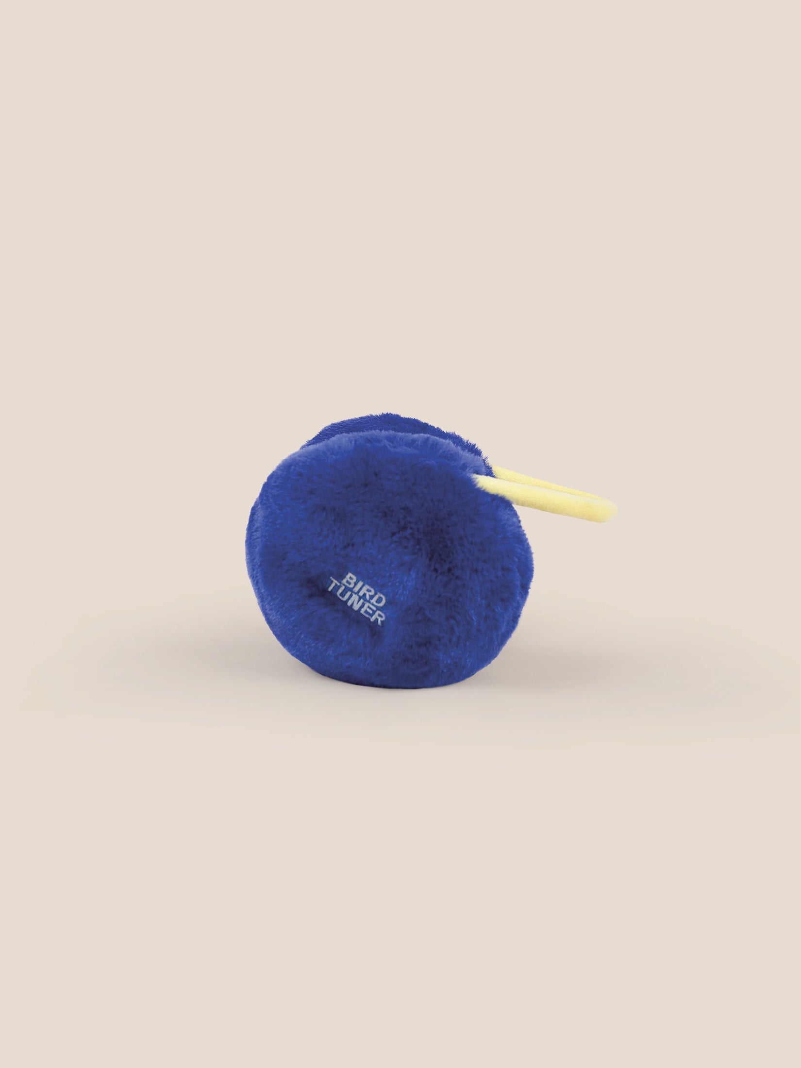Boys & Girls Electric Blue Ear Muffs