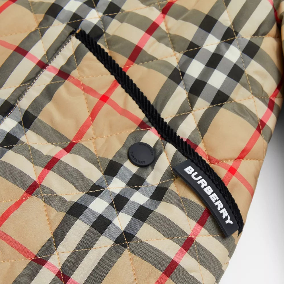 Boys & Girls Beige Stripe Coat