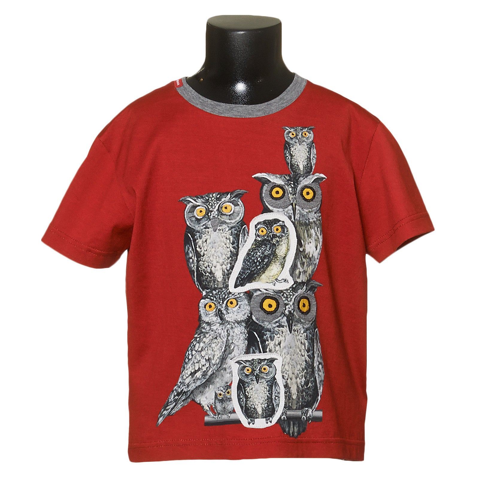 Boys Red Owls Printed Cotton T-Shirt - CÉMAROSE | Children's Fashion Store - 1