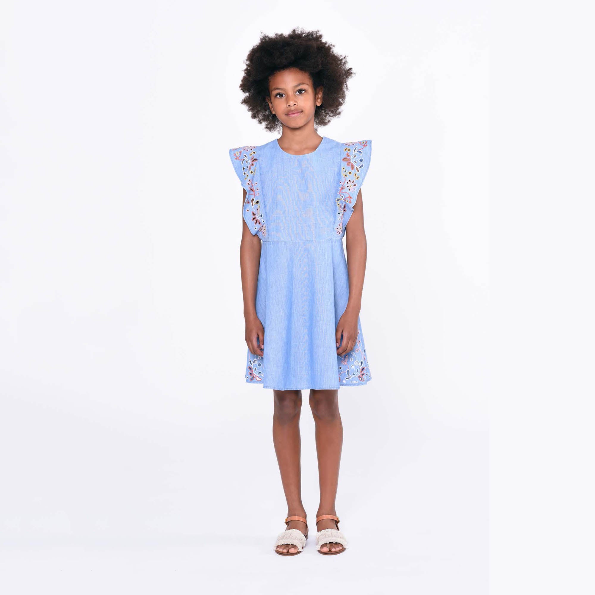 Girls Blue Embroidered Cotton Dress