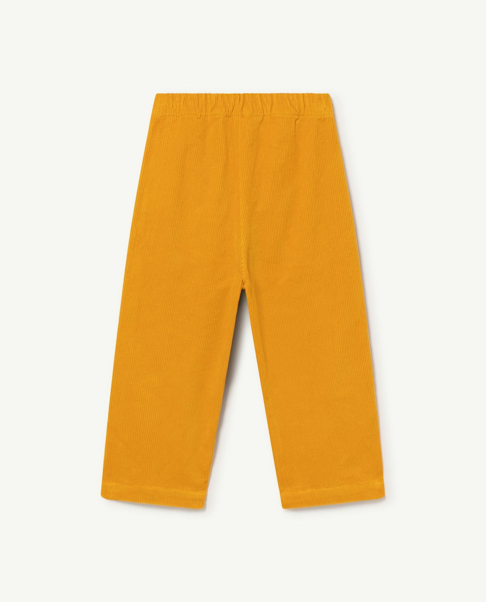 Boys & Girls Brown Trousers