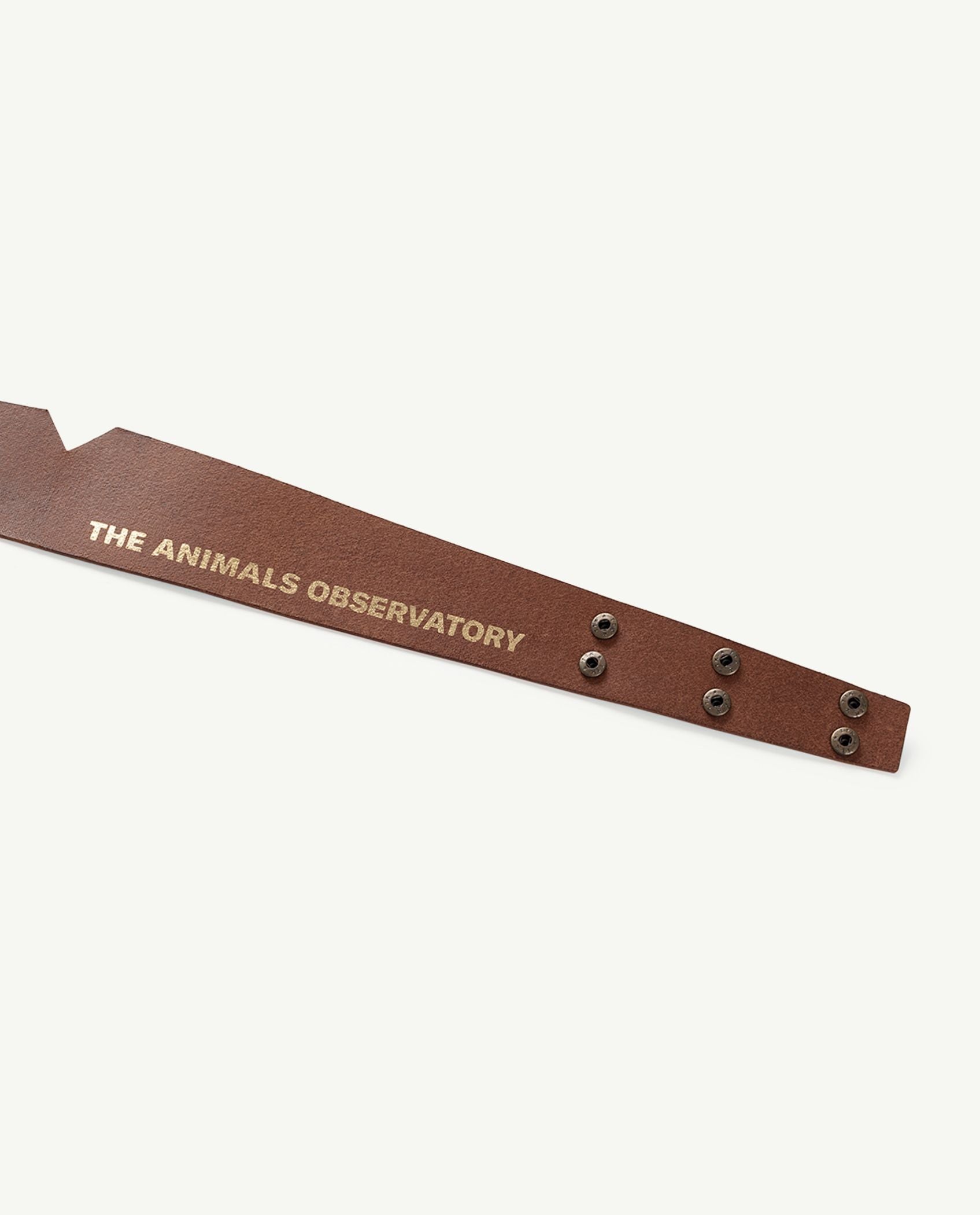 Boys & Girls Blue Belt