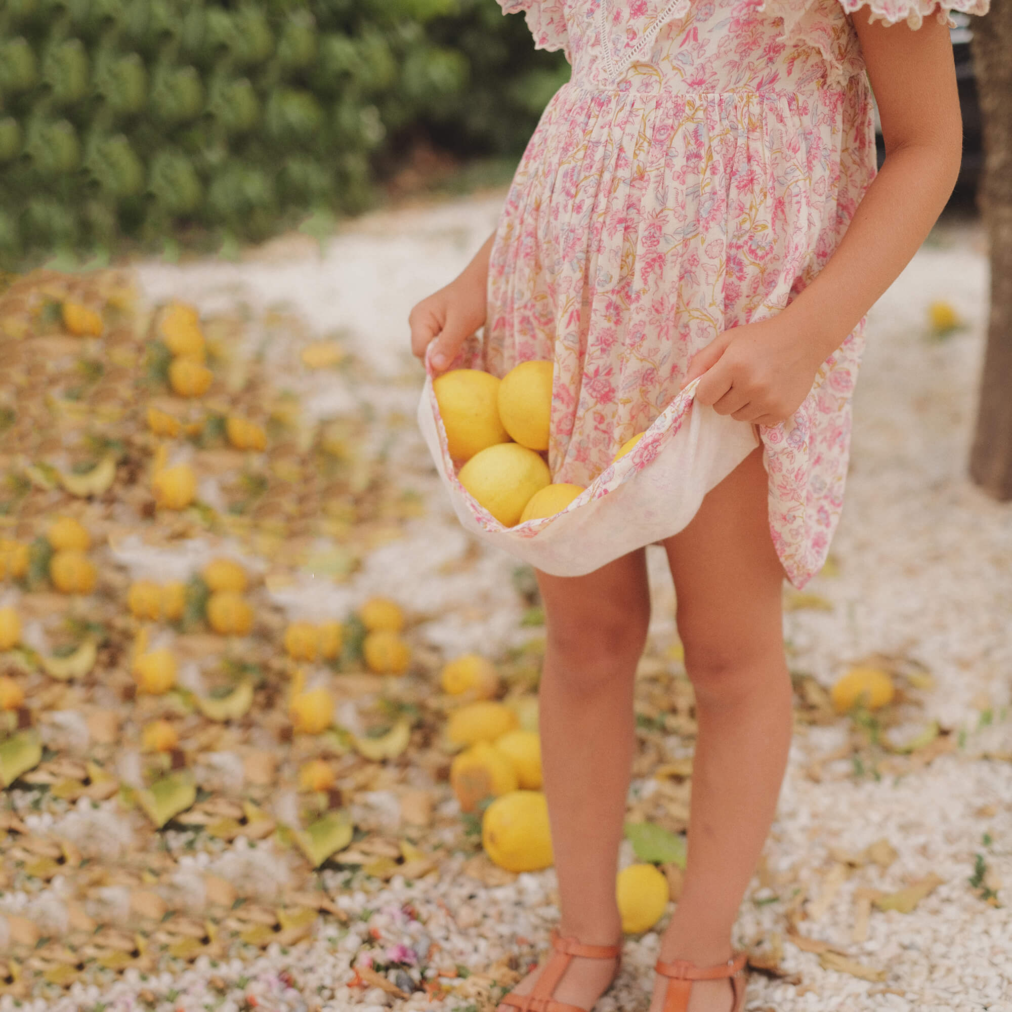 Girls White Flower Cotton Dress