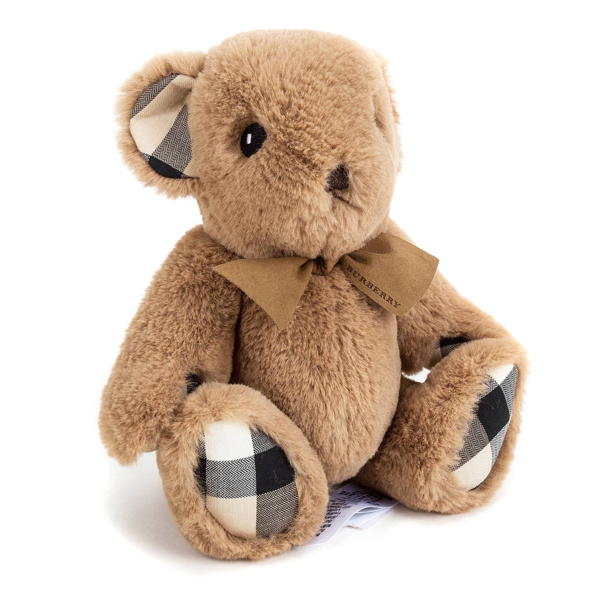 Brown Bear