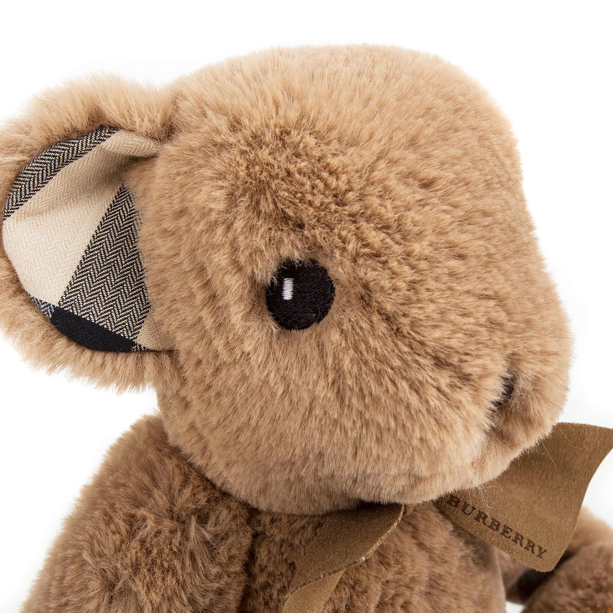 Brown Bear
