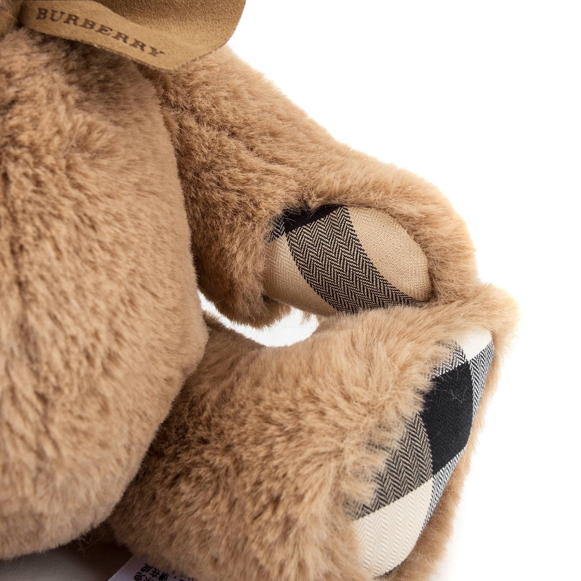 Brown Bear
