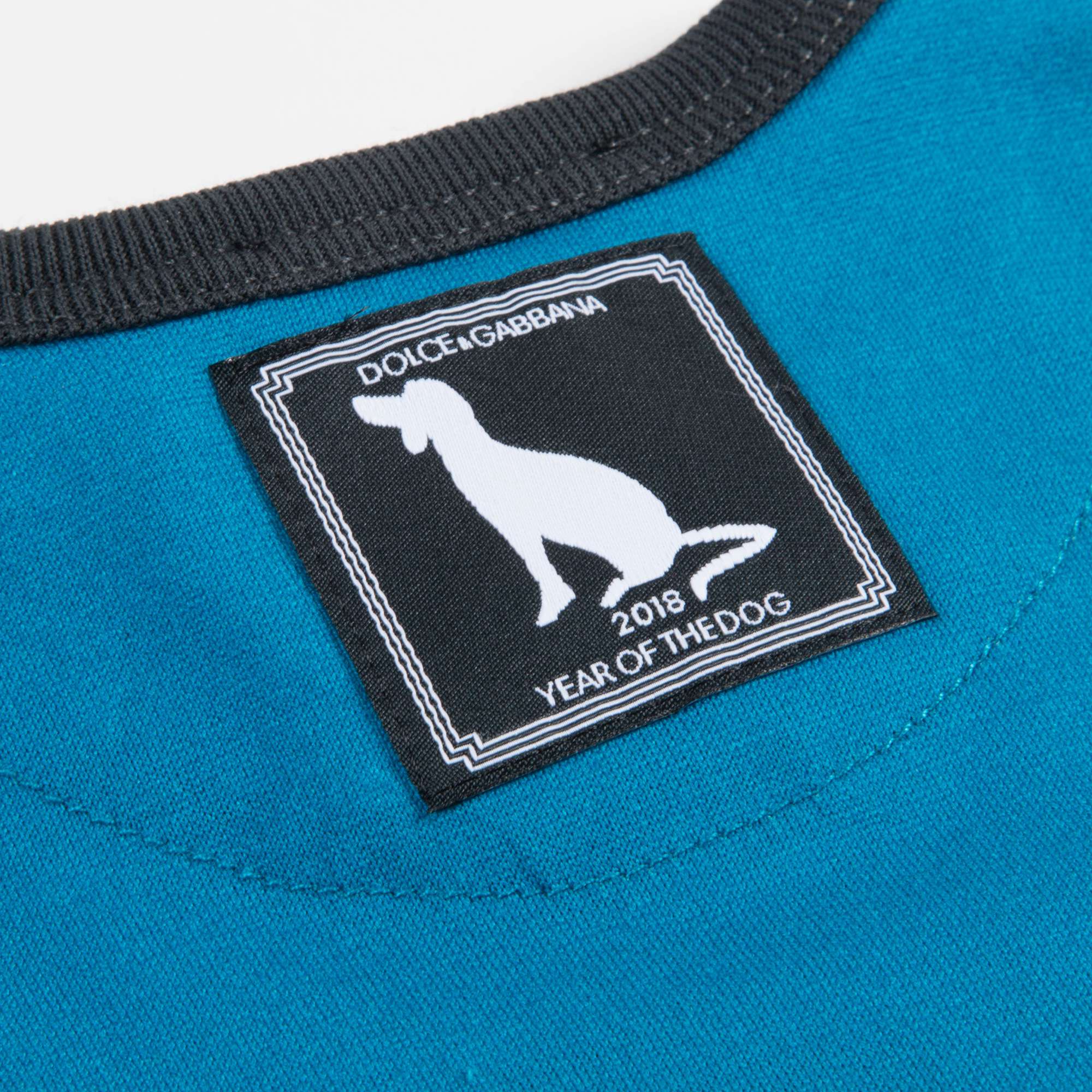 Baby Boys Blue "Dog" Cotton T-shirt