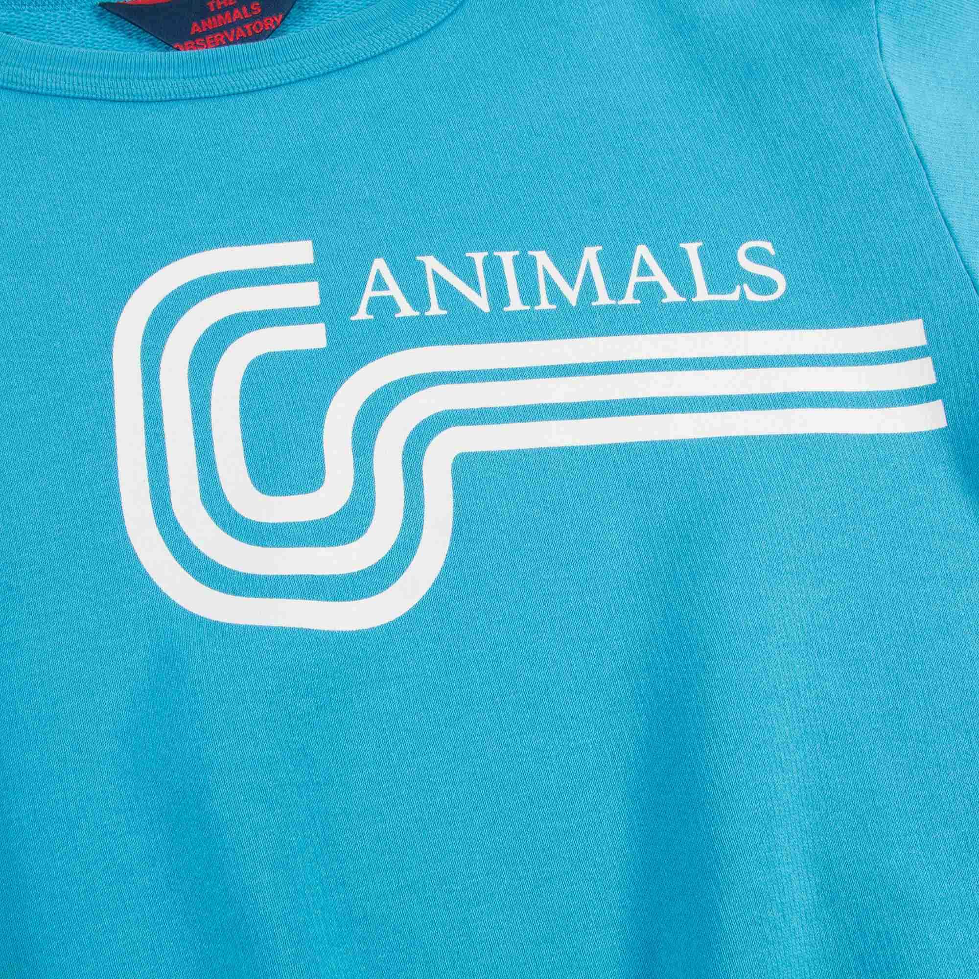 Girls Blue Animals Cotton Swertshirt